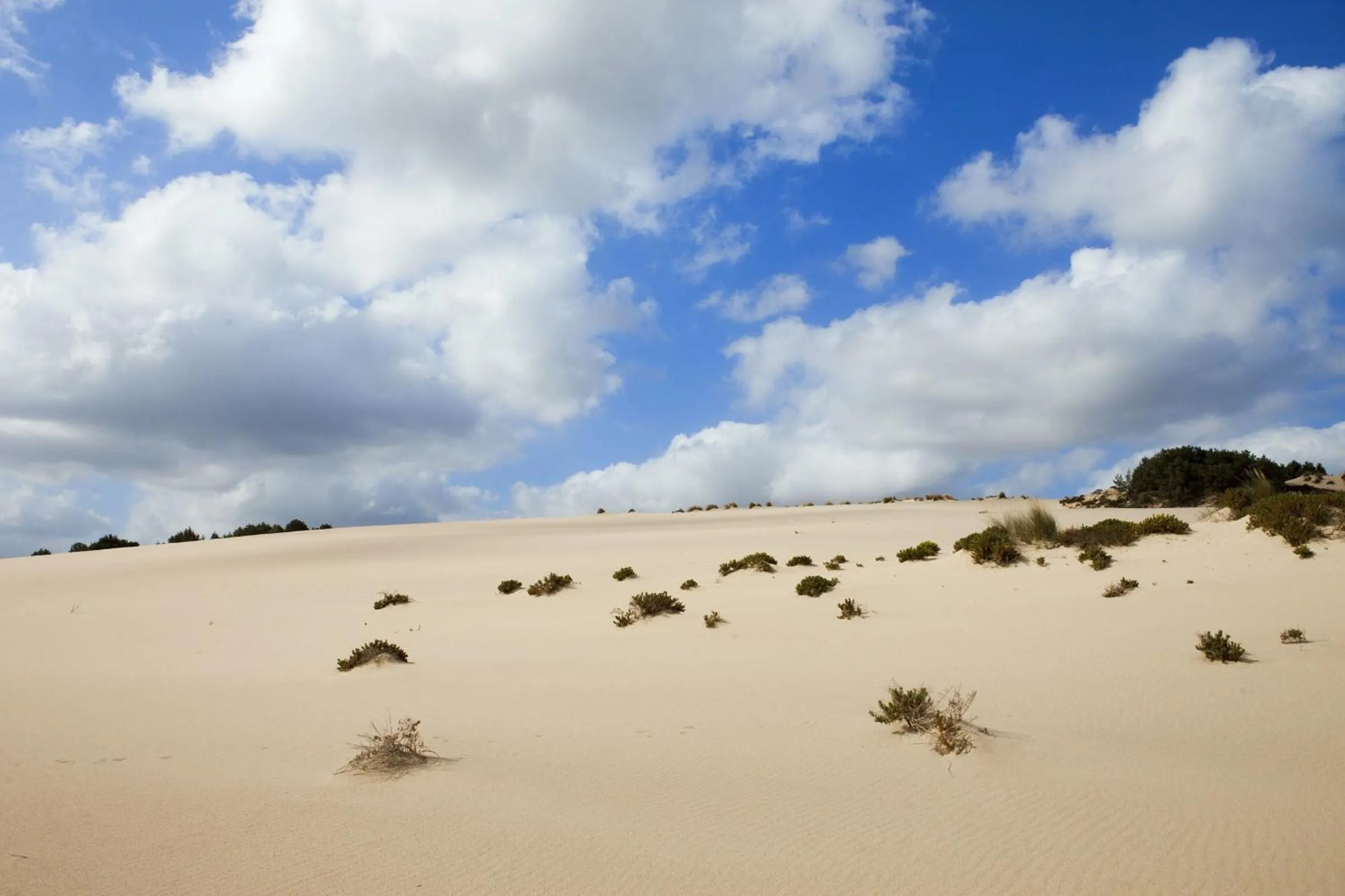 Day in Hotel Le Dune Piscinas