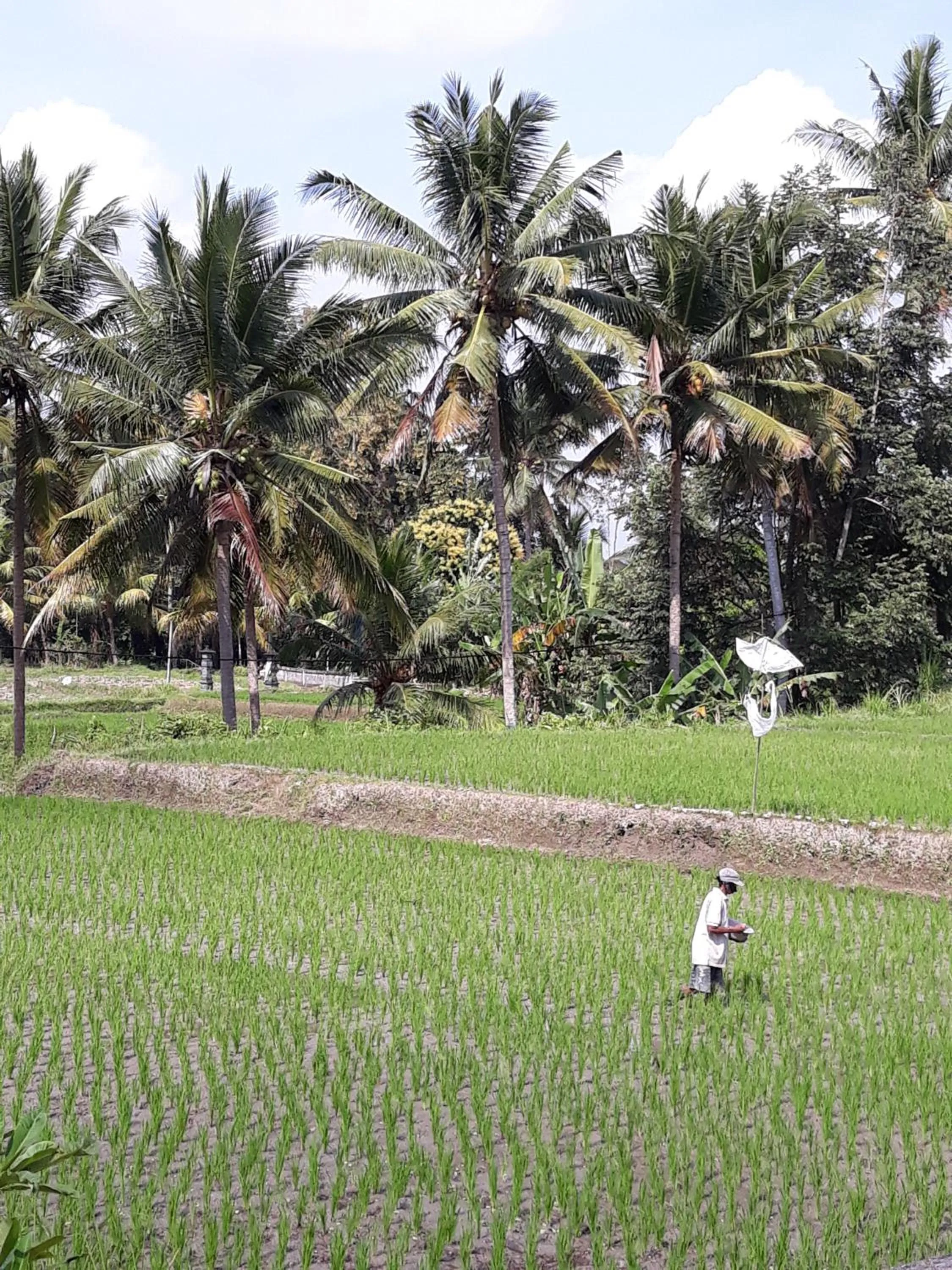 Umah Dangin Guest House