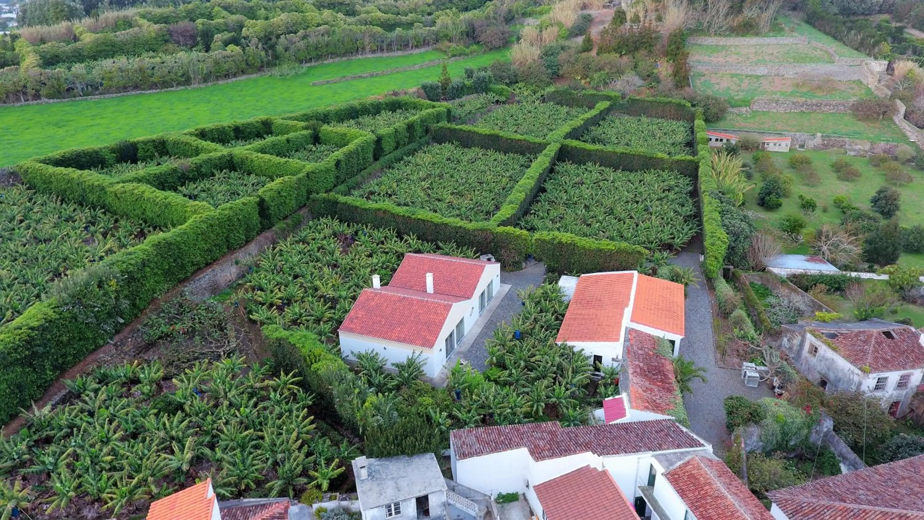 Quinta Amaro AL