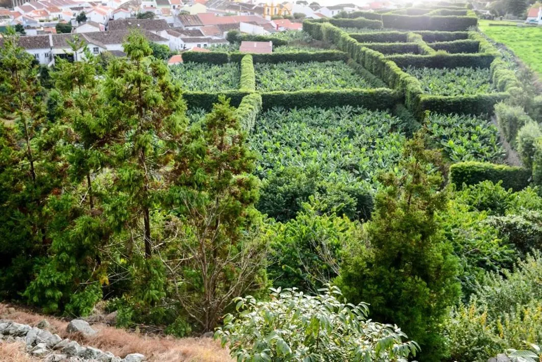 Quinta Amaro AL