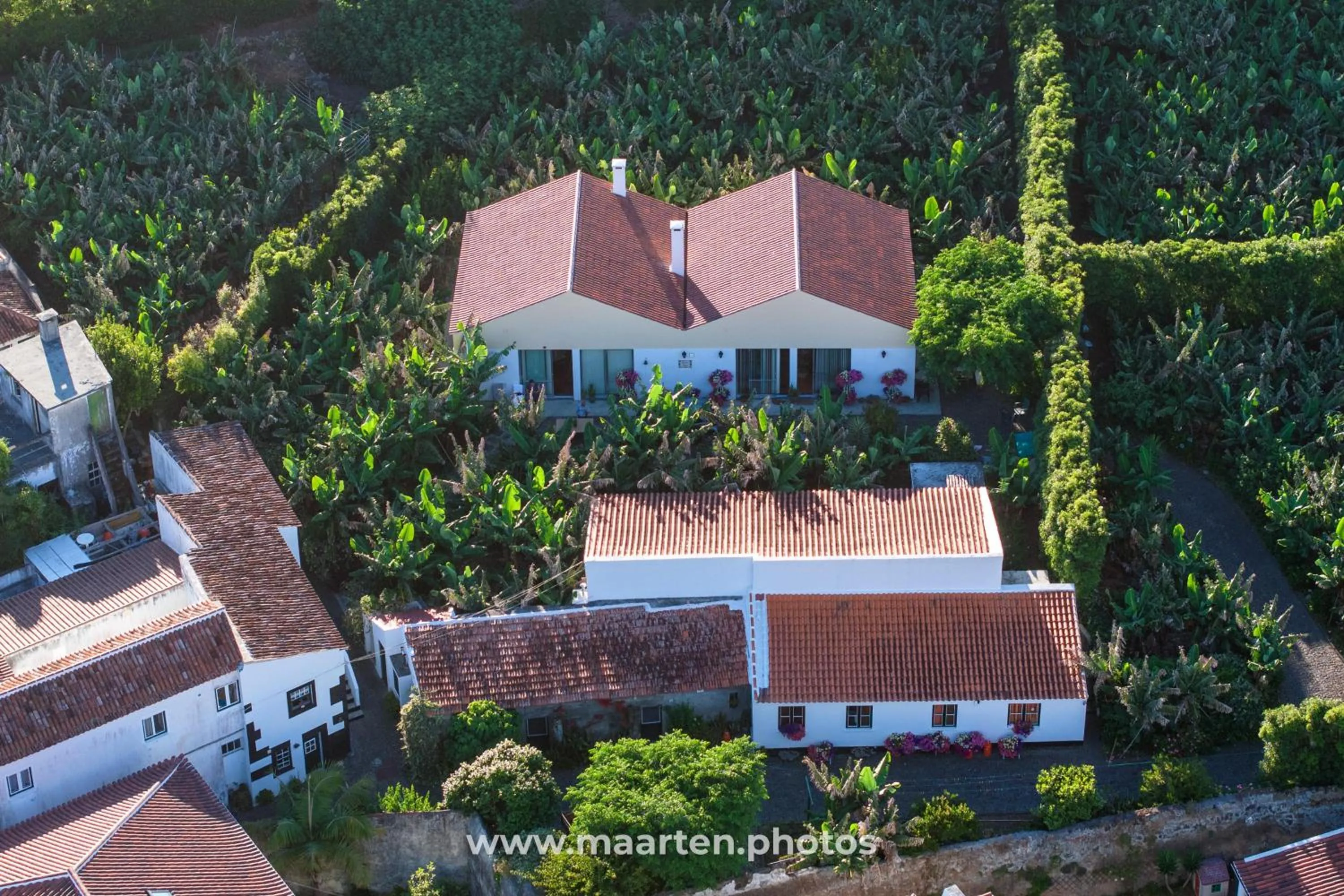 Quinta Amaro AL