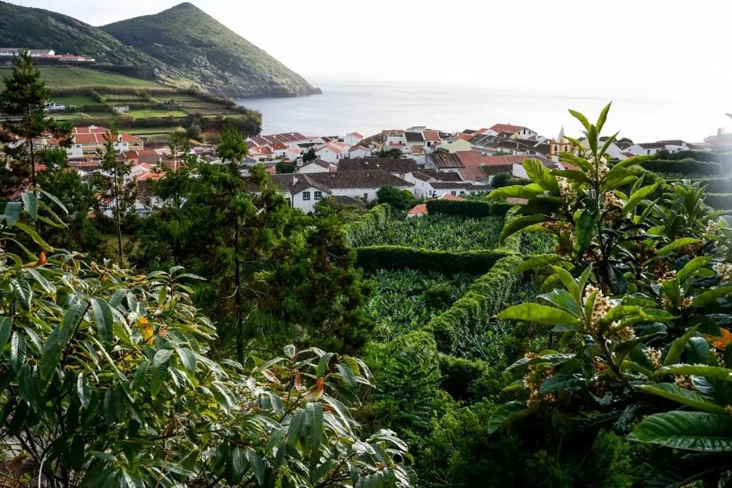 Quinta Amaro AL