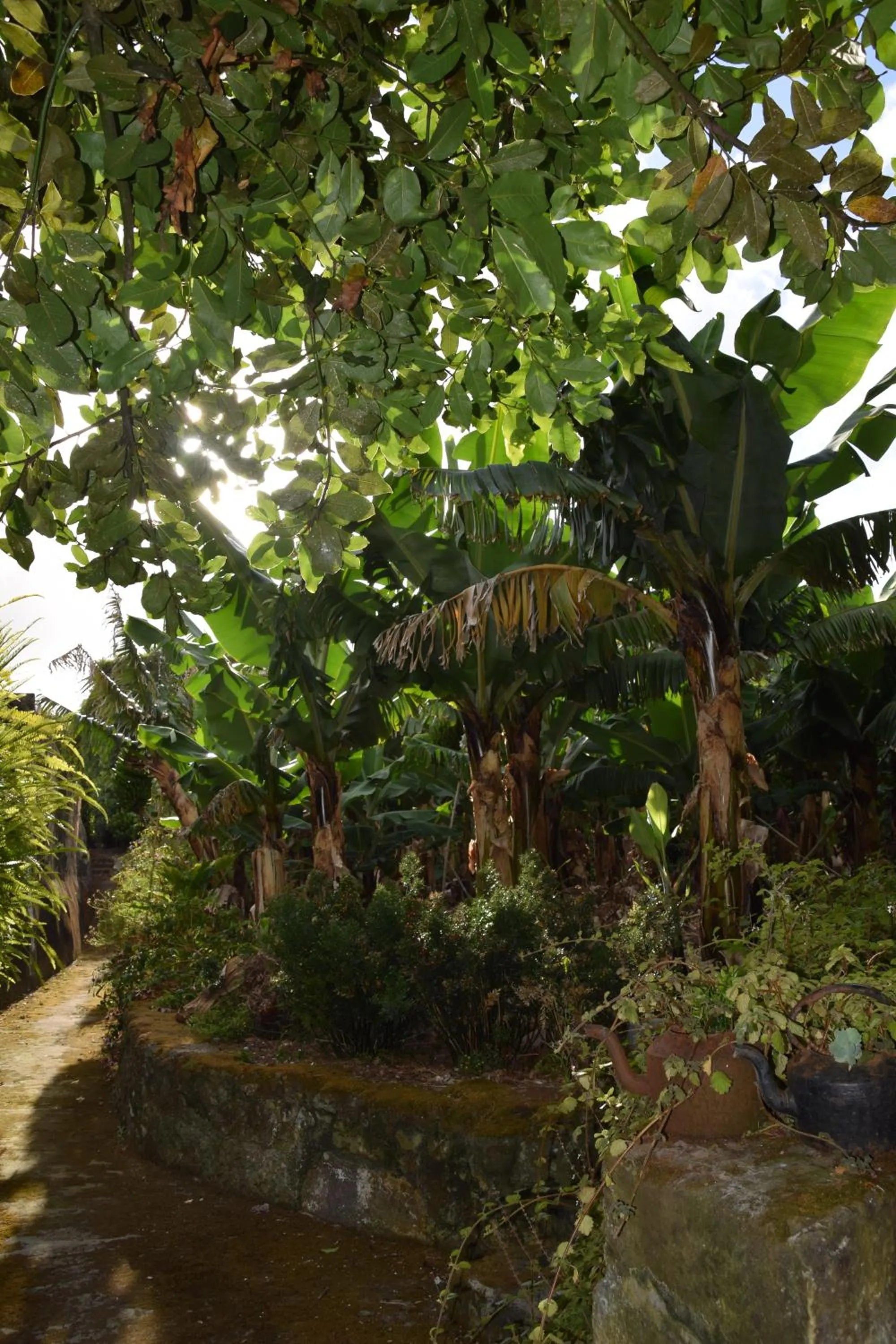 Garden in Quinta Amaro AL