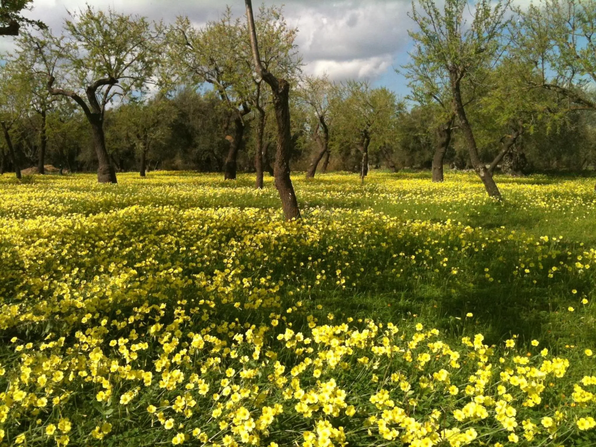 Area and facilities in Hotel La Corte Del Sole