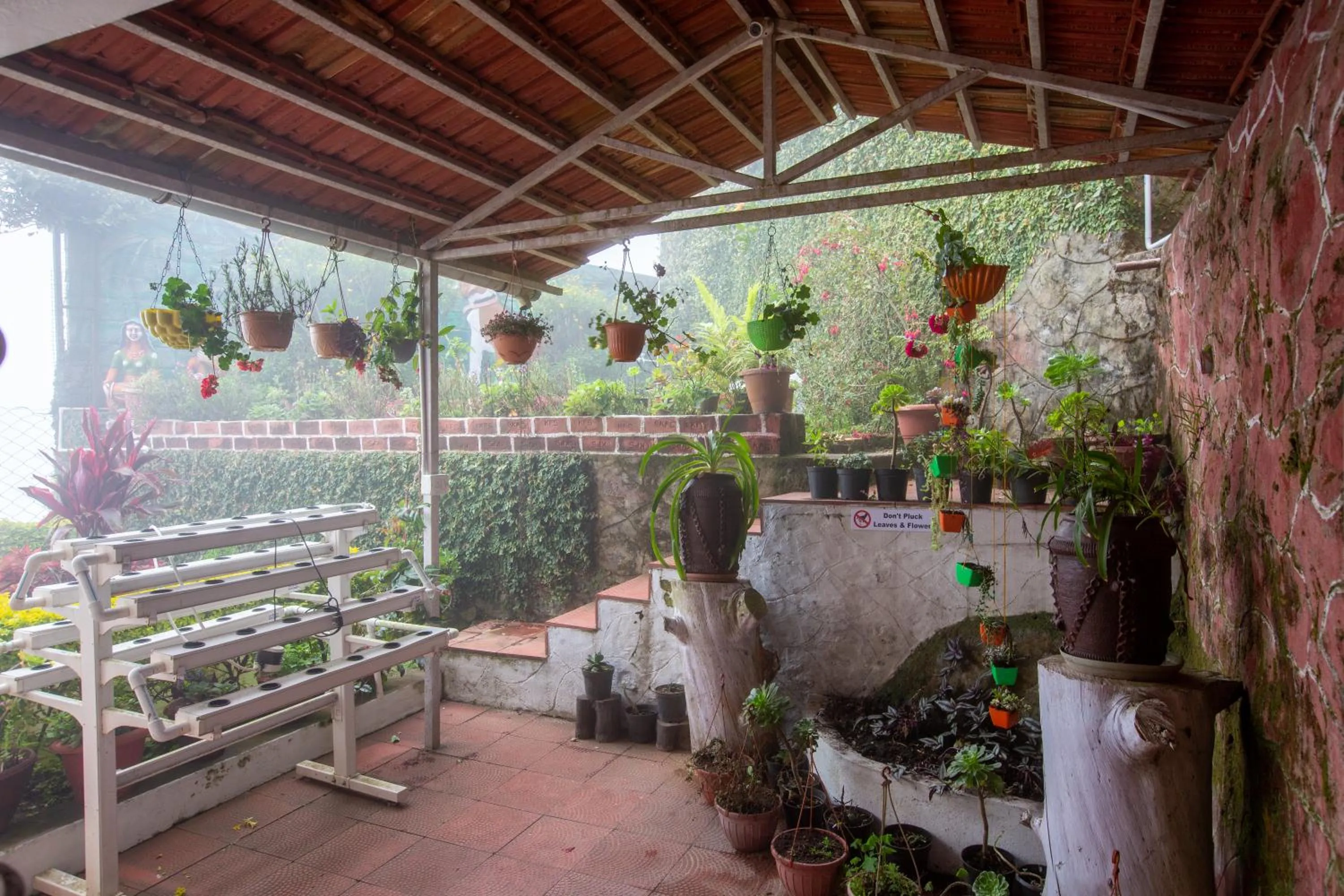 Garden in Syamantac Villa