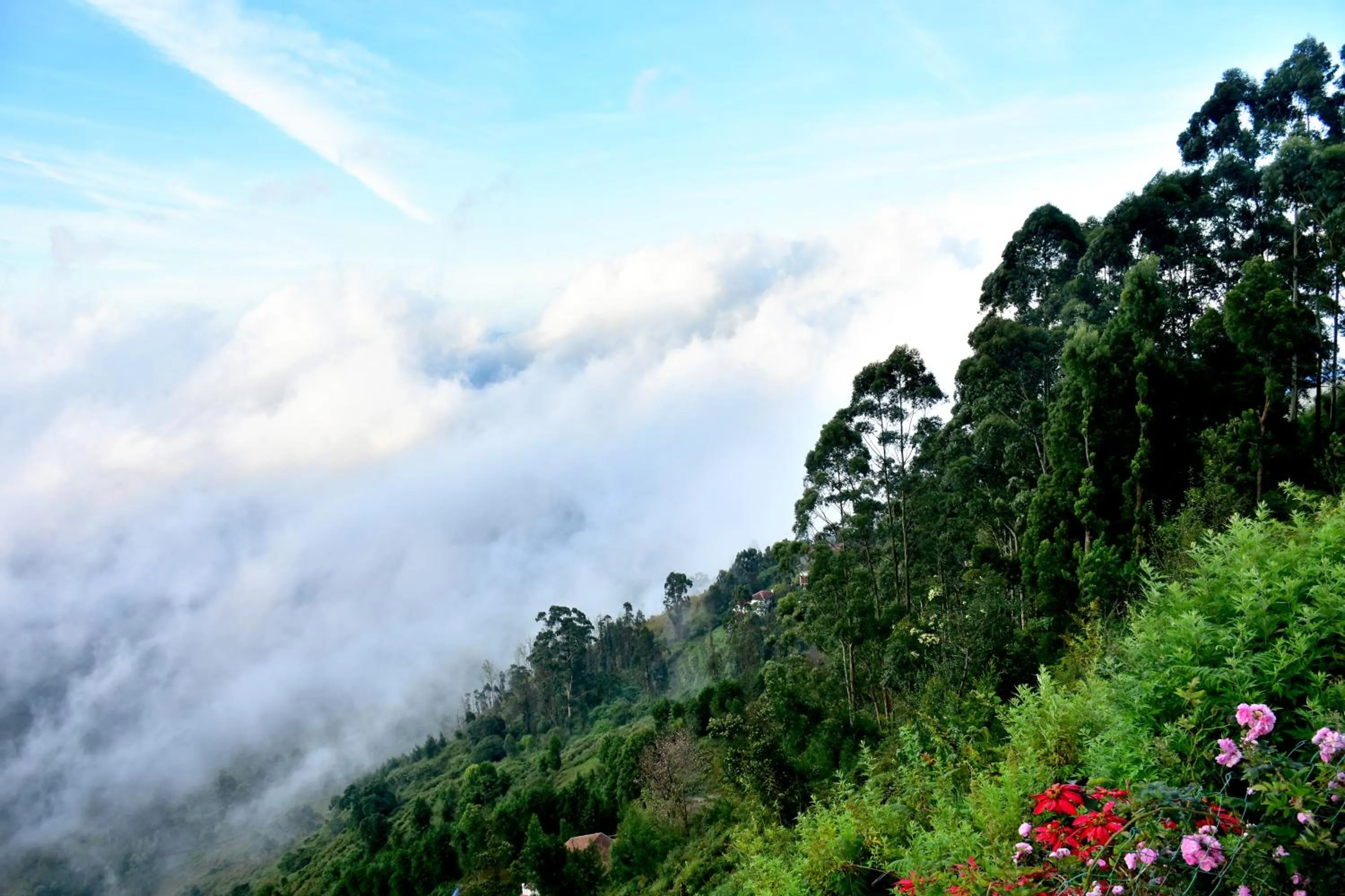 Natural landscape in Syamantac Villa