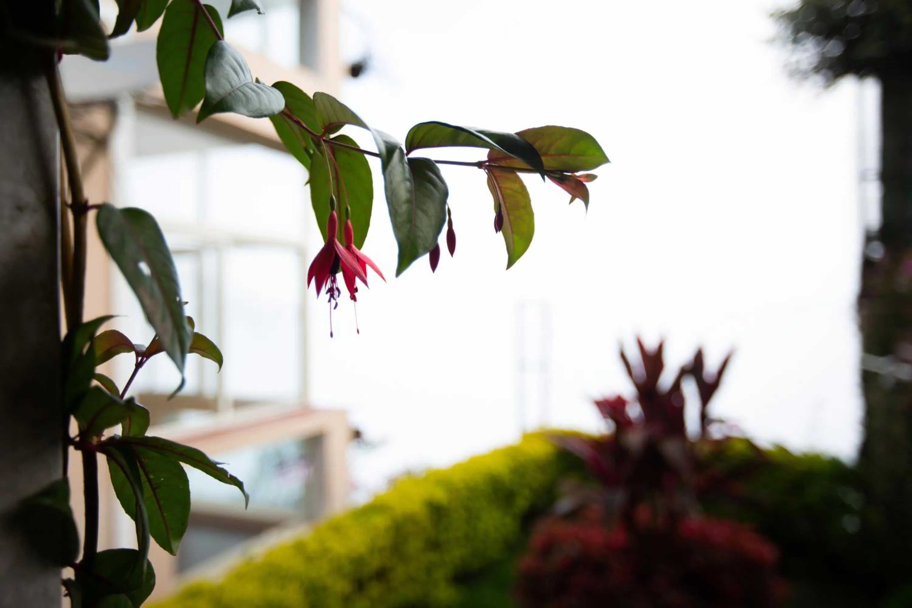 Natural landscape in Syamantac Villa