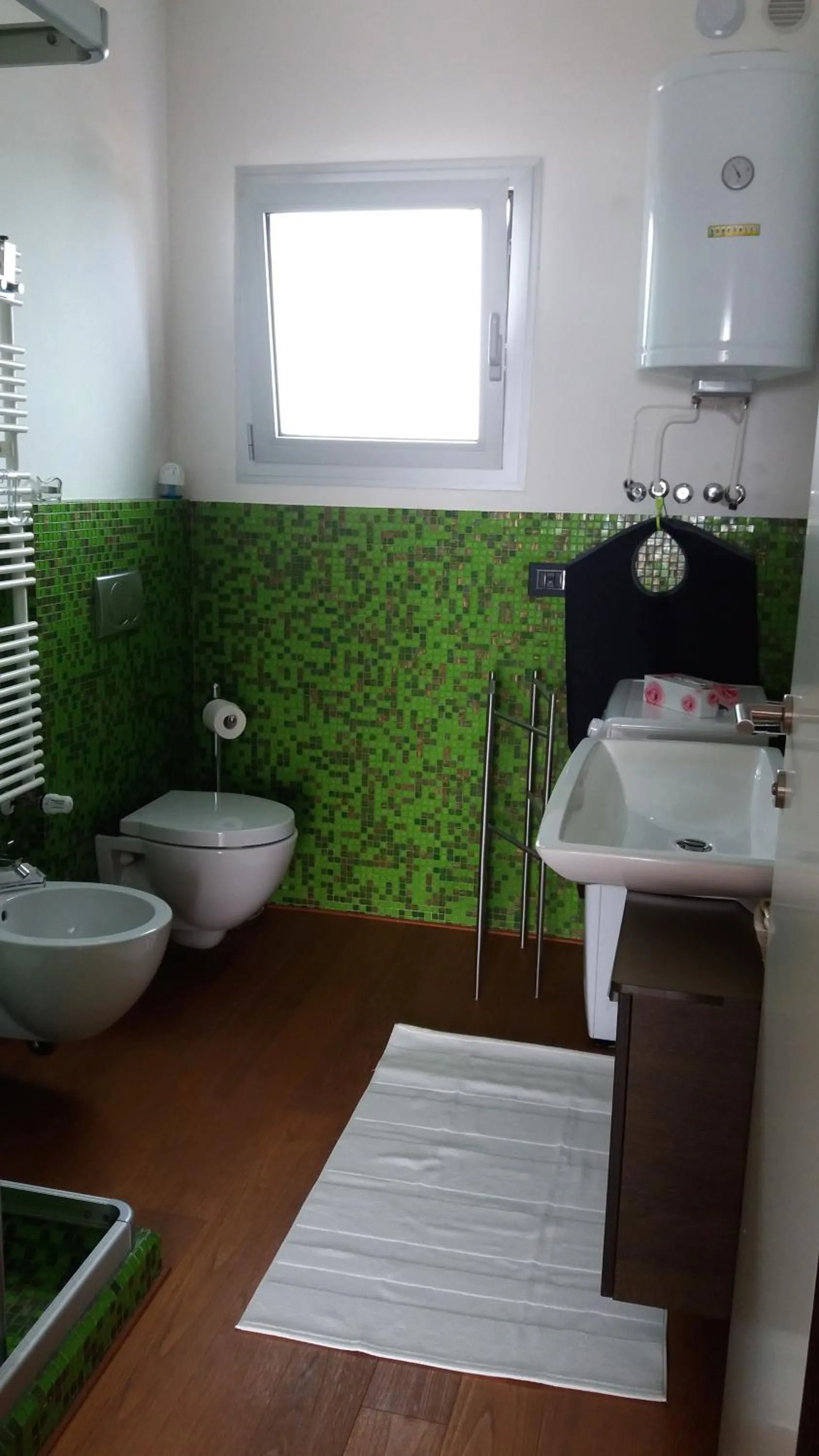 Area and facilities in Apartment Mare e Laguna
