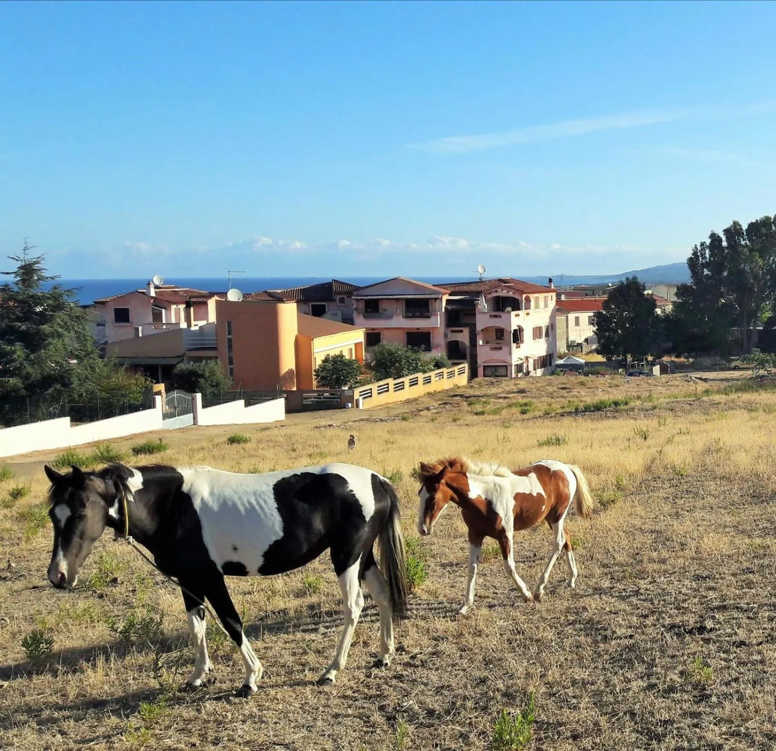 Property building in Casa Vacanze residence Cavour