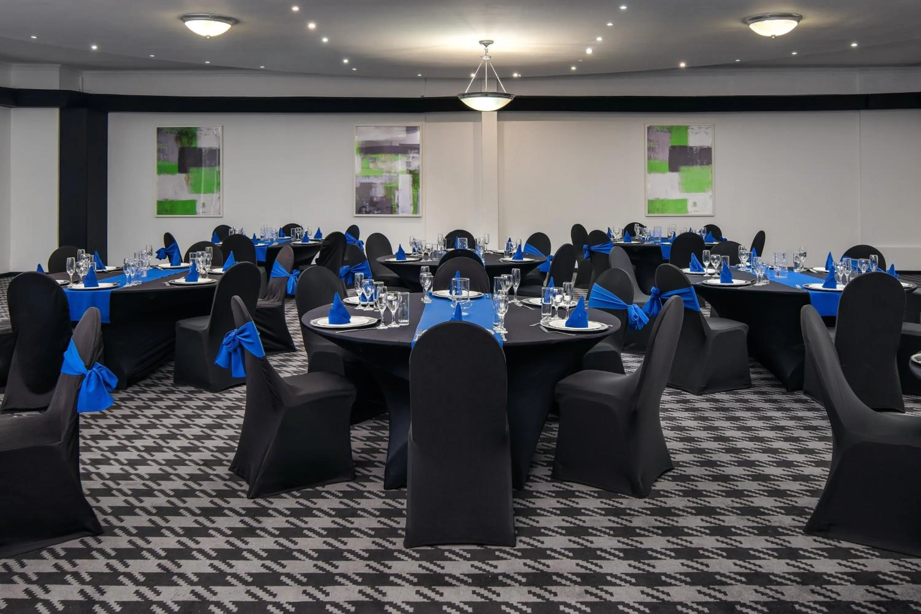 Banquet/Function facilities in Holiday Inn Johannesburg OR Tambo Airport Hotel by IHG