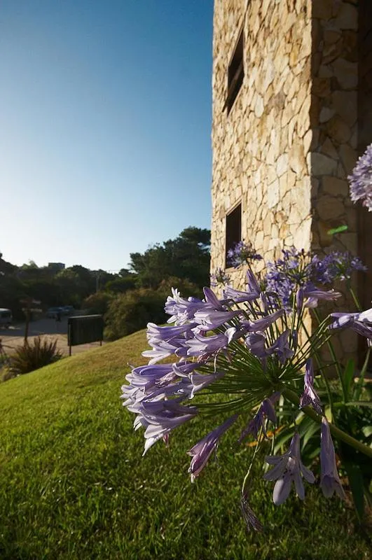 Garden in Viñas del Mar Apart & SPA Aparthotel