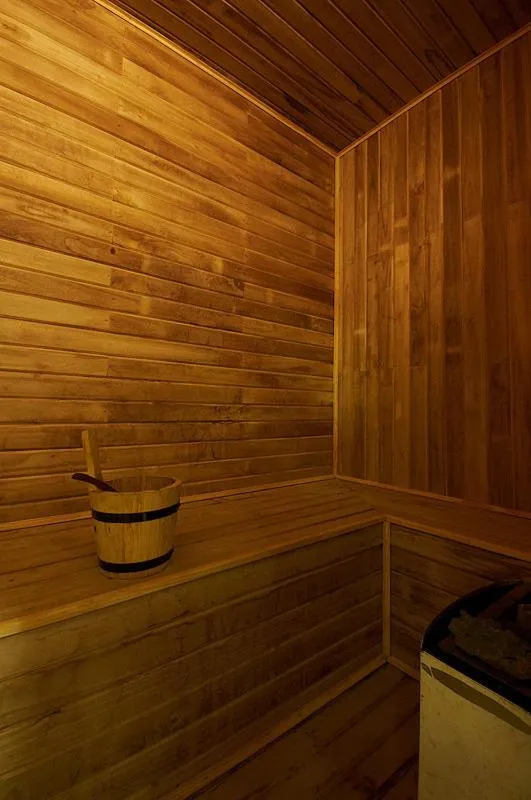 Sauna in Viñas del Mar Apart & SPA Aparthotel