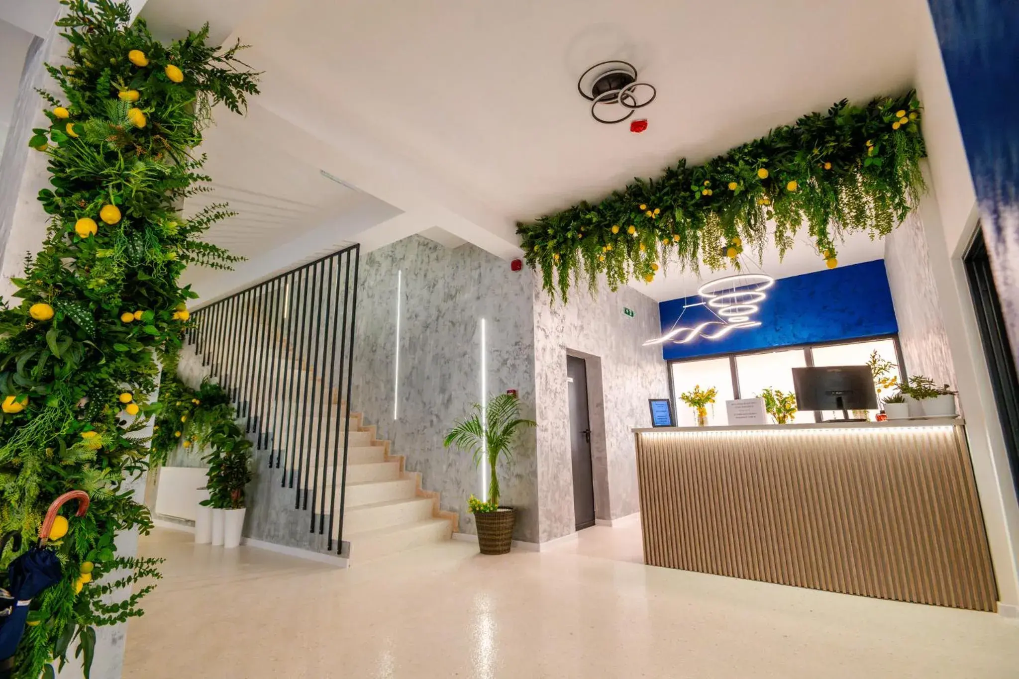 Hotel-Apartments Roxy&Maryo Hotel-Apartments Roxy&Maryo