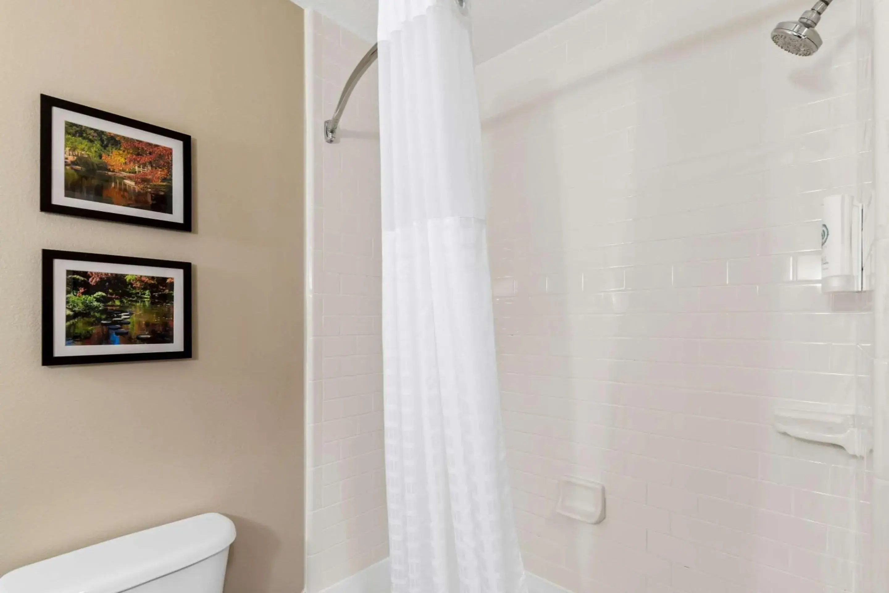 Bedroom in Comfort Suites Roanoke - Fort Worth North Bedroom in Comfort Suites Roanoke - Fort Worth North