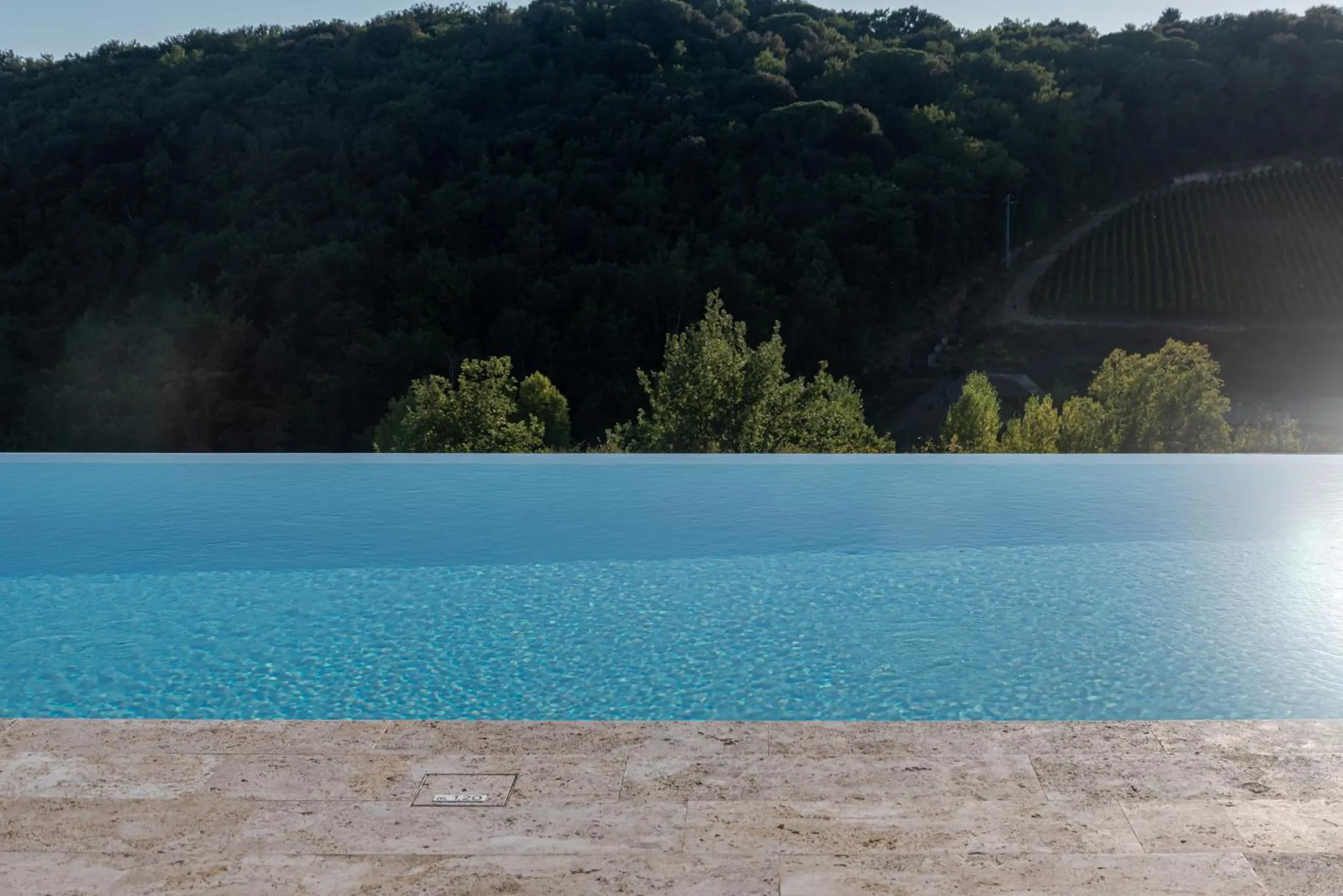 Swimming pool in Chianti B&B Design infinity pool shared