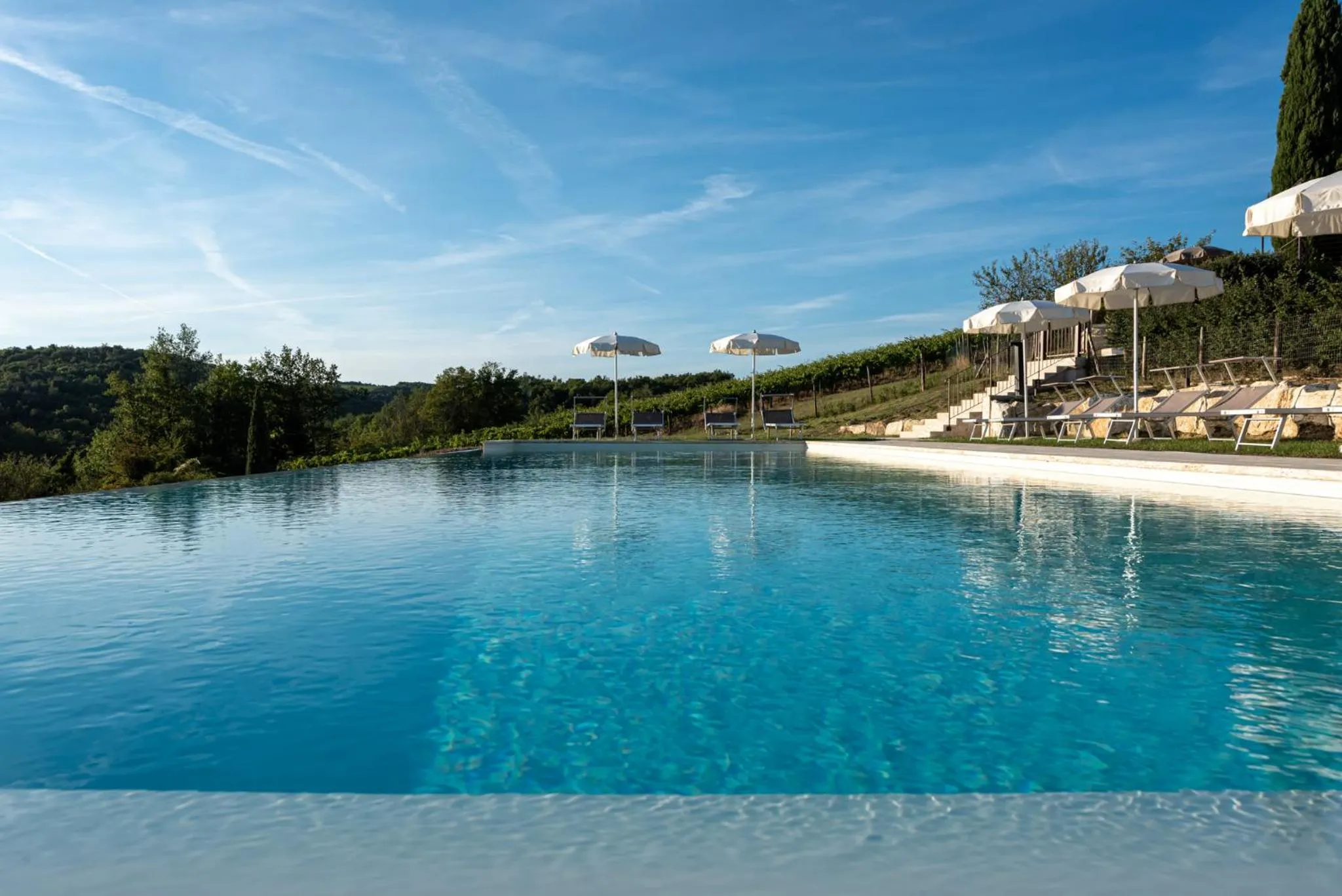 Swimming pool in Chianti B&B Design infinity pool shared