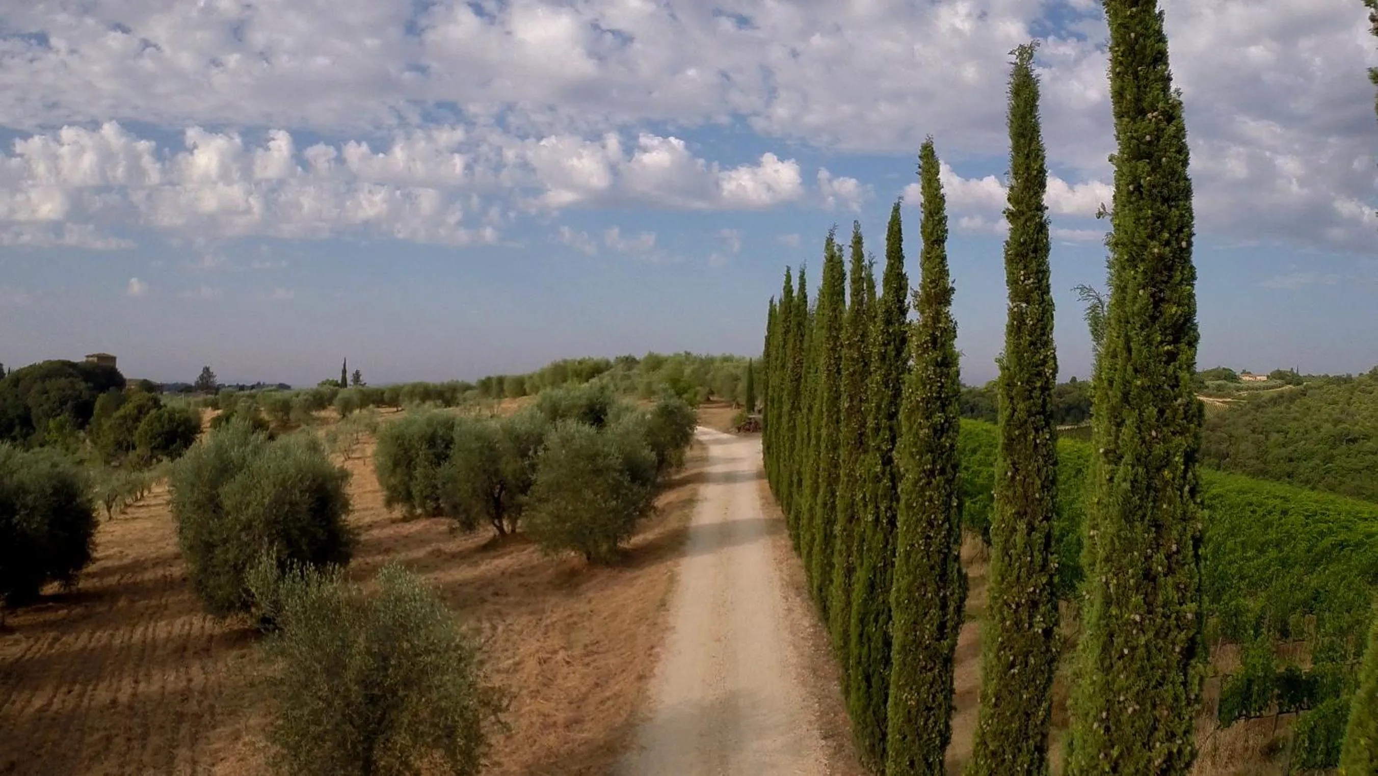 Neighbourhood in Chianti B&B Design infinity pool shared