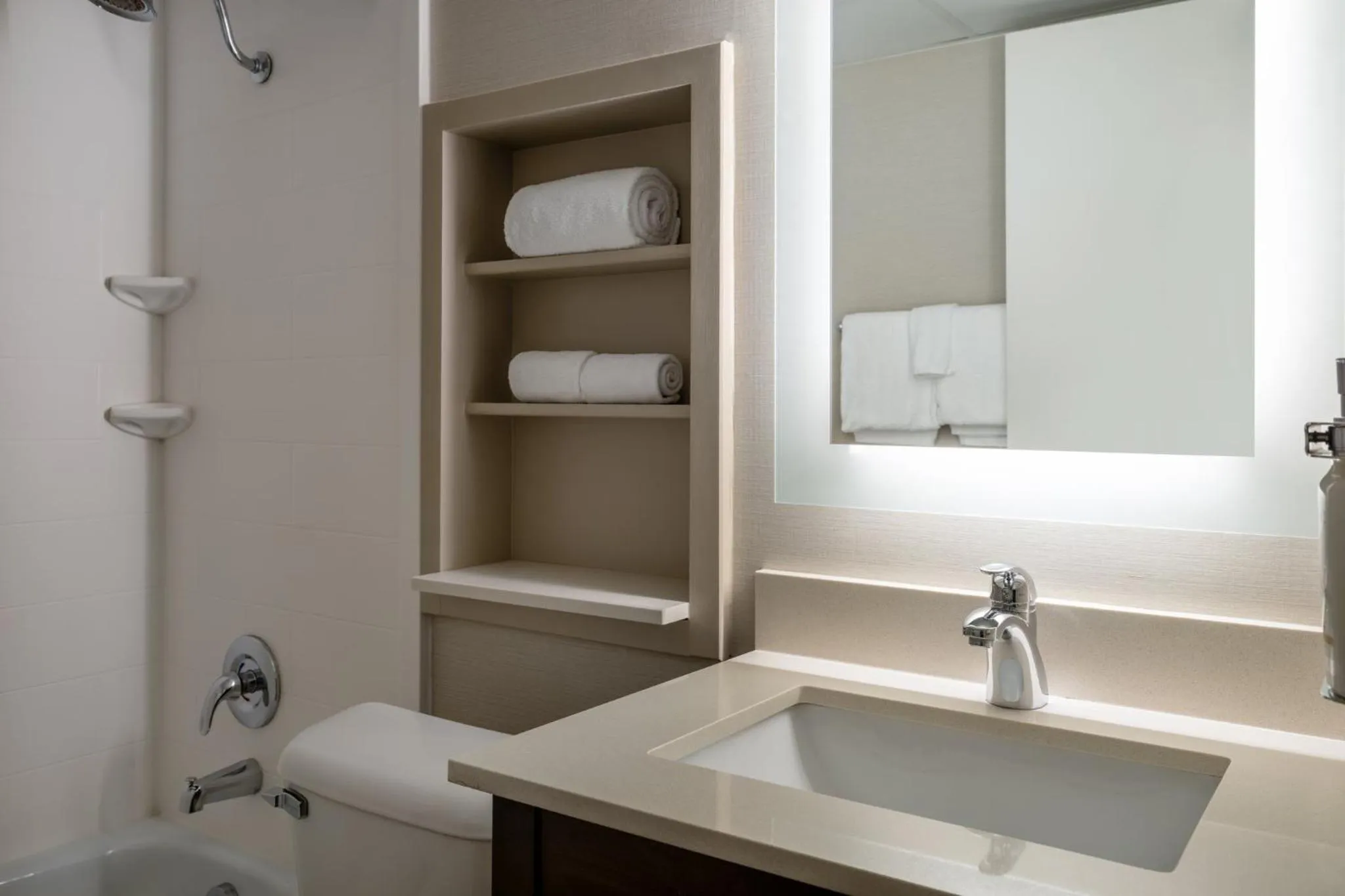 Bathroom in Holiday Inn Sioux Falls-City Center by IHG