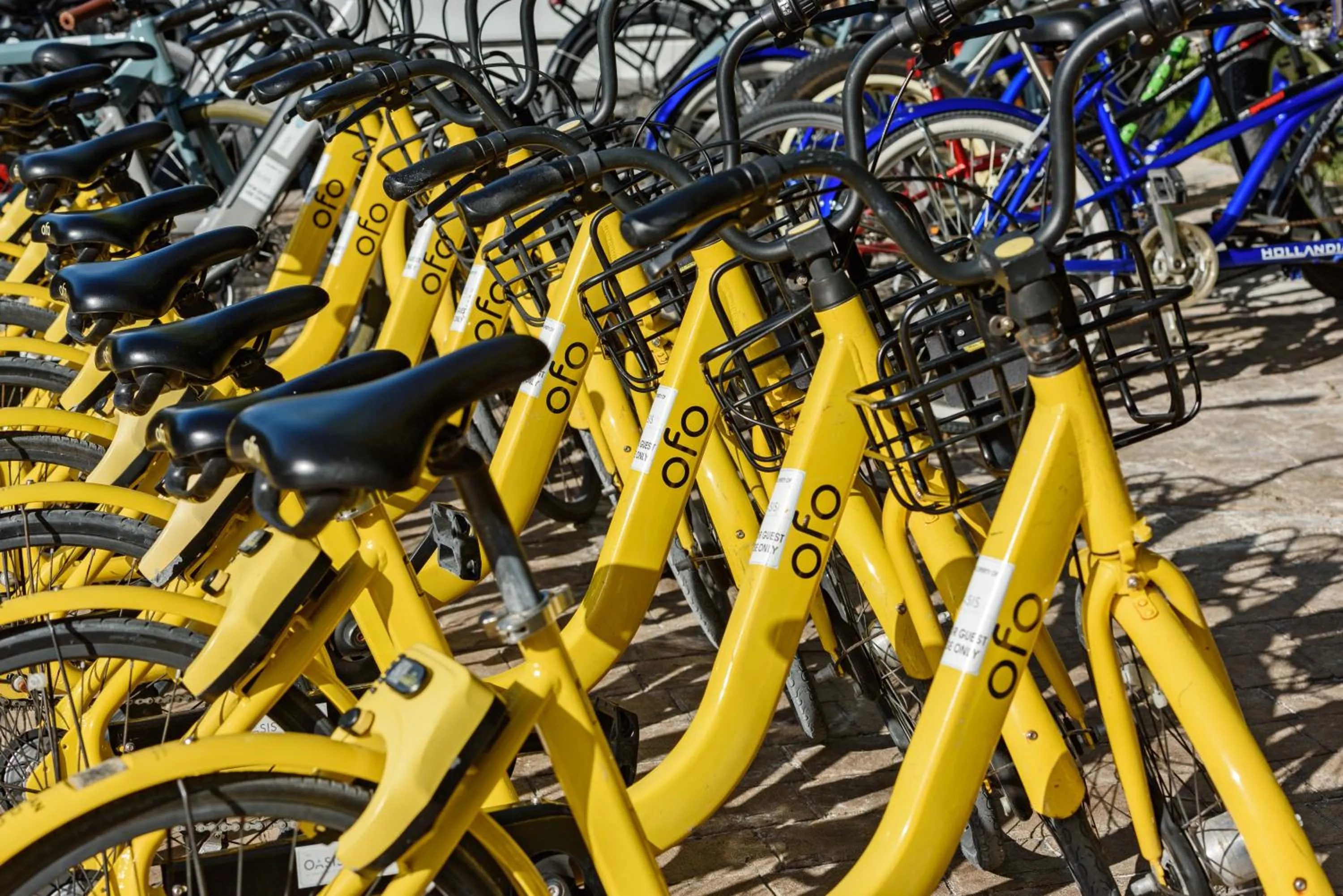 Cycling in The Oasis at Grace Bay