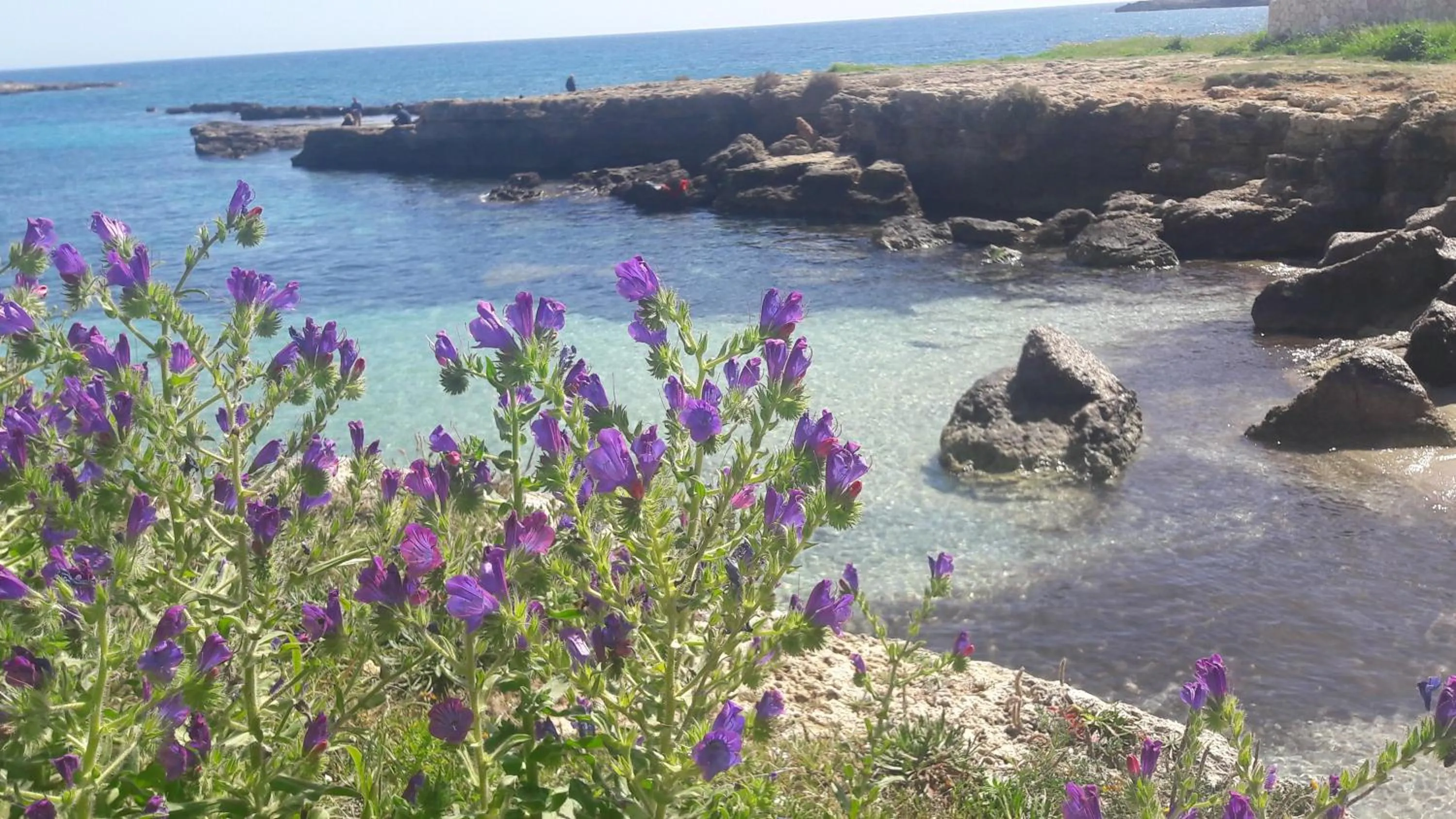 Nearby landmark in "Suliscenti" Dimora Siciliana B&B