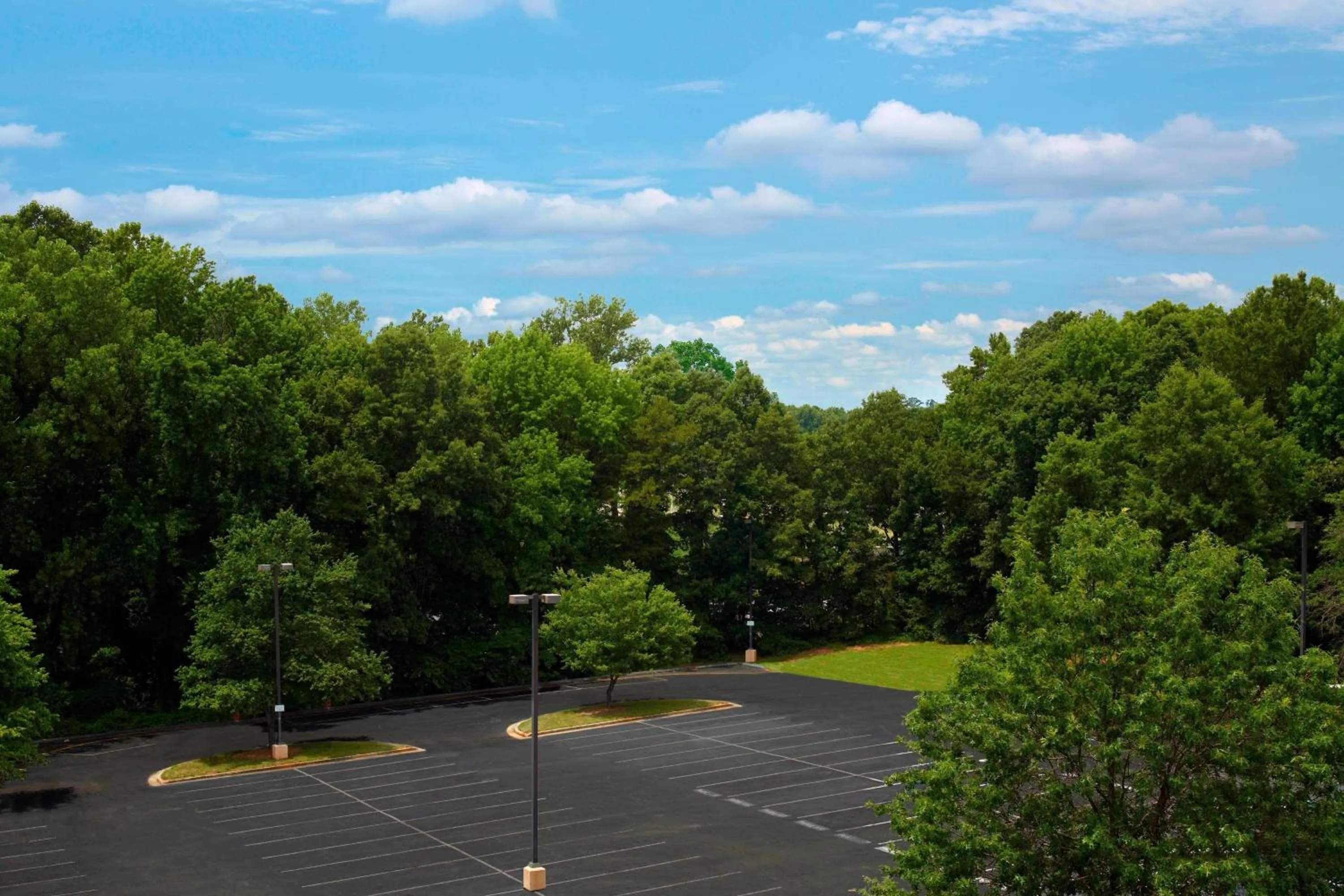 Photo of the whole room in Sheraton Charlotte Airport