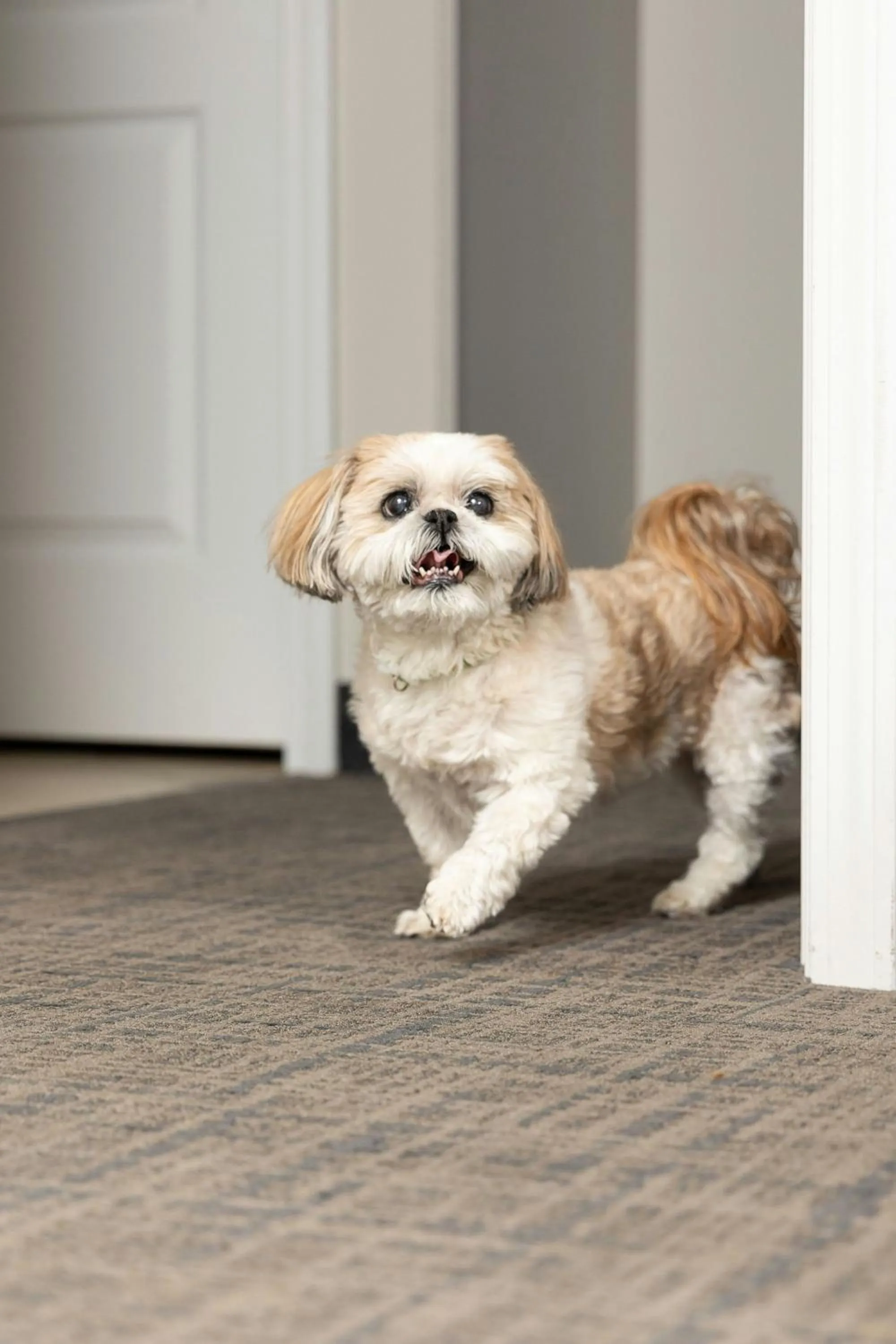 Bedroom in Residence Inn Dayton North