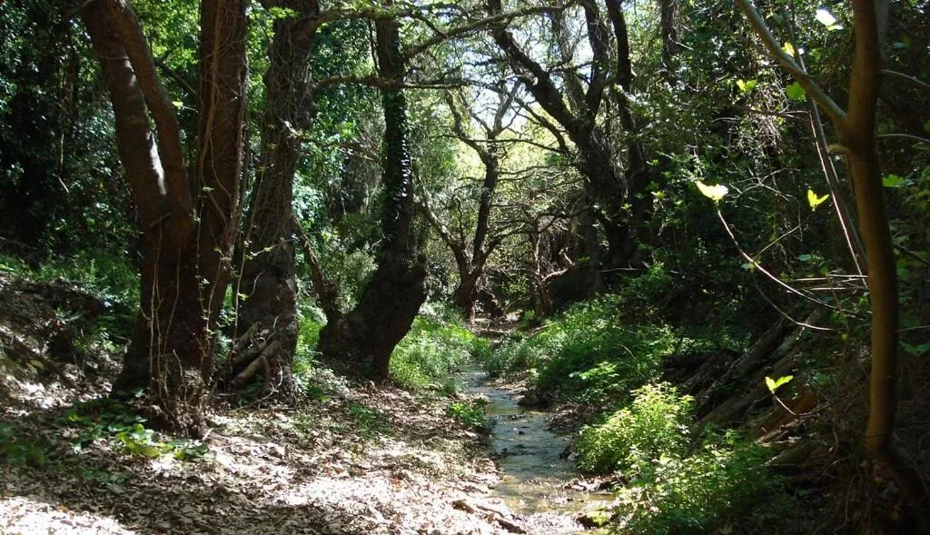 Liotrivi Historical Mansion and Boutique Hotel