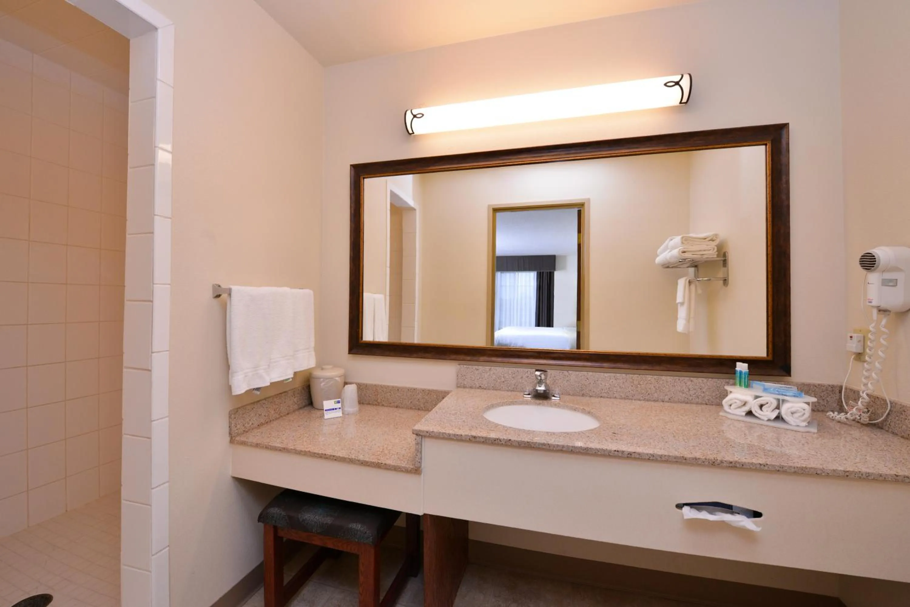 Bathroom in Holiday Inn Express Hotel & Suites Sioux Falls At Empire Mall by IHG