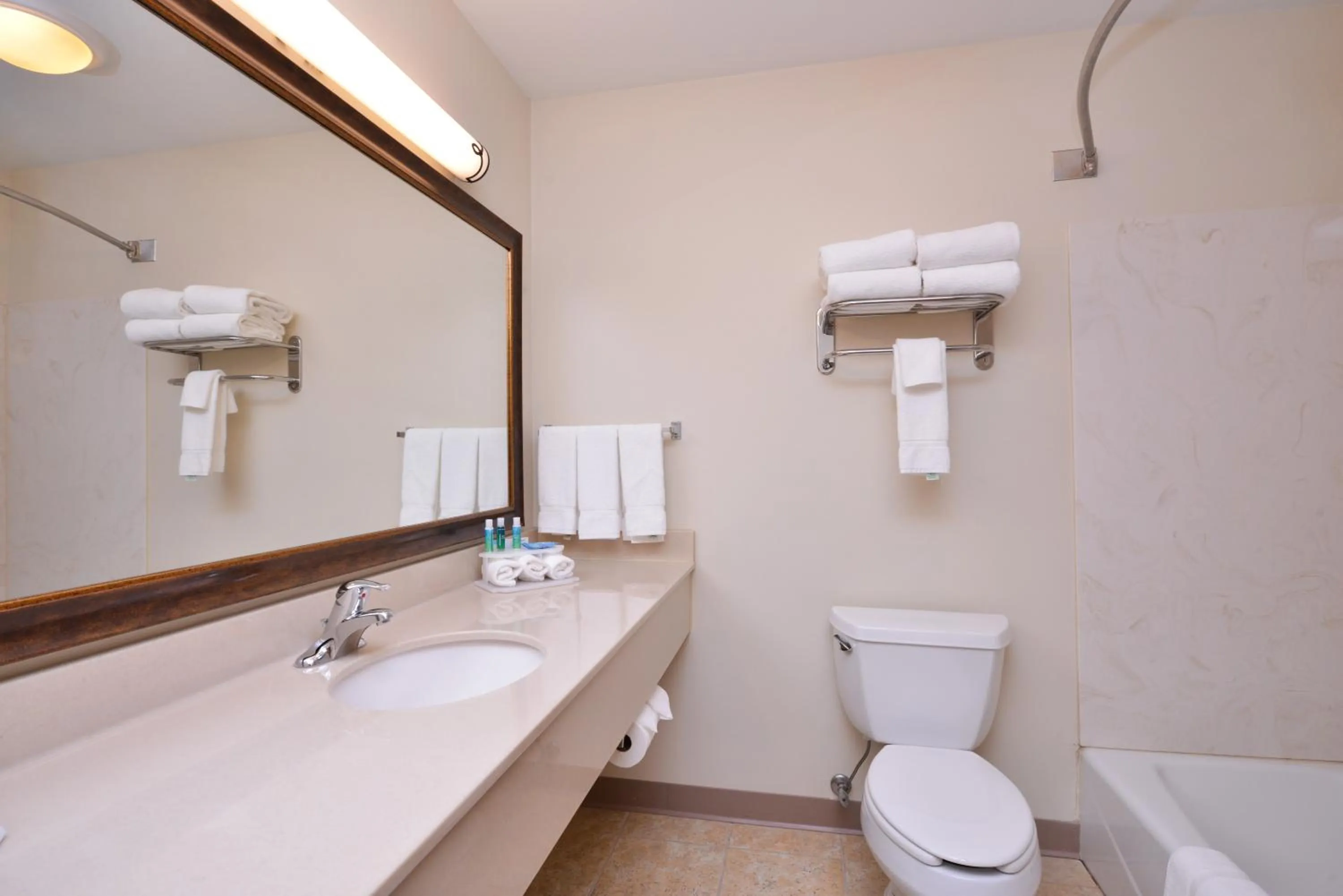 Bathroom in Holiday Inn Express Hotel & Suites Sioux Falls At Empire Mall by IHG