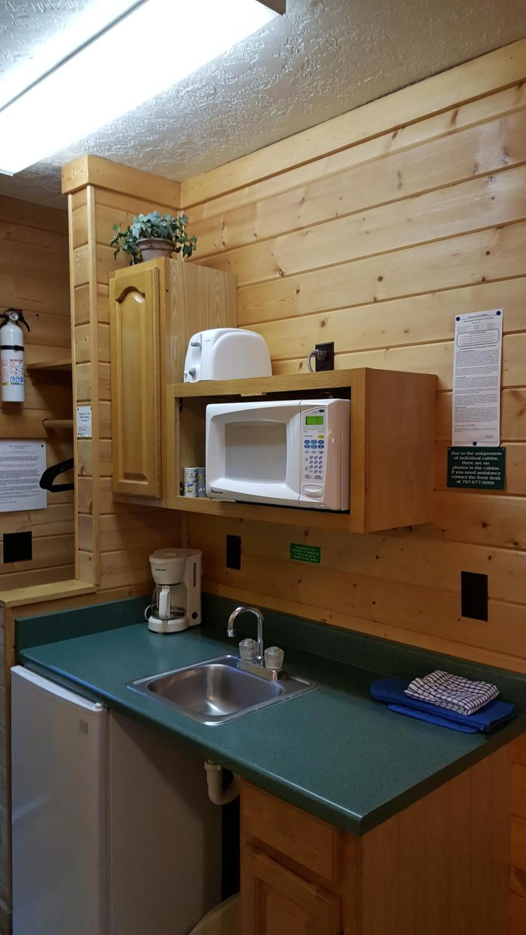 Kitchen or kitchenette in Emerald Forest Cabins