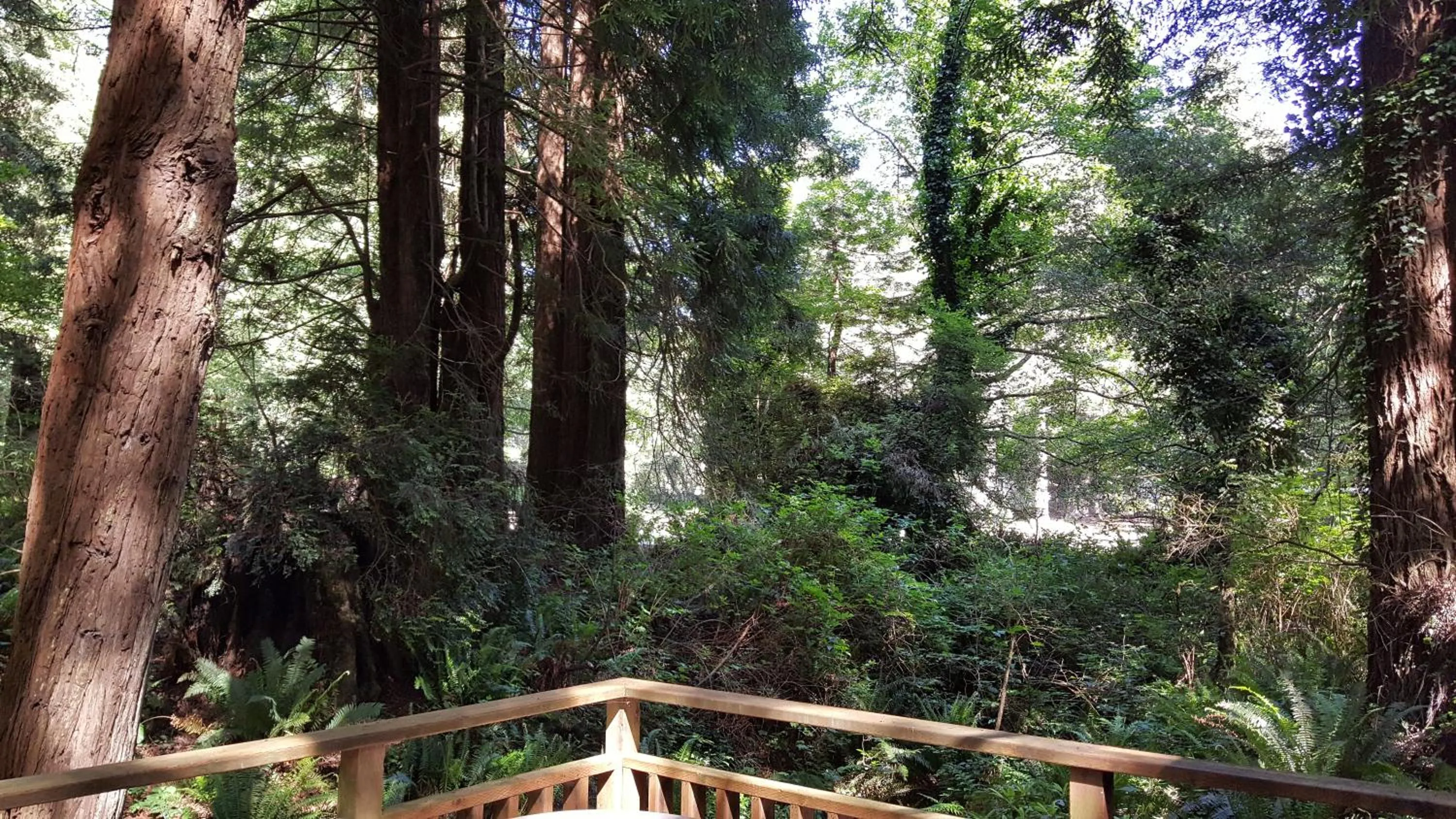 Other in Emerald Forest Cabins