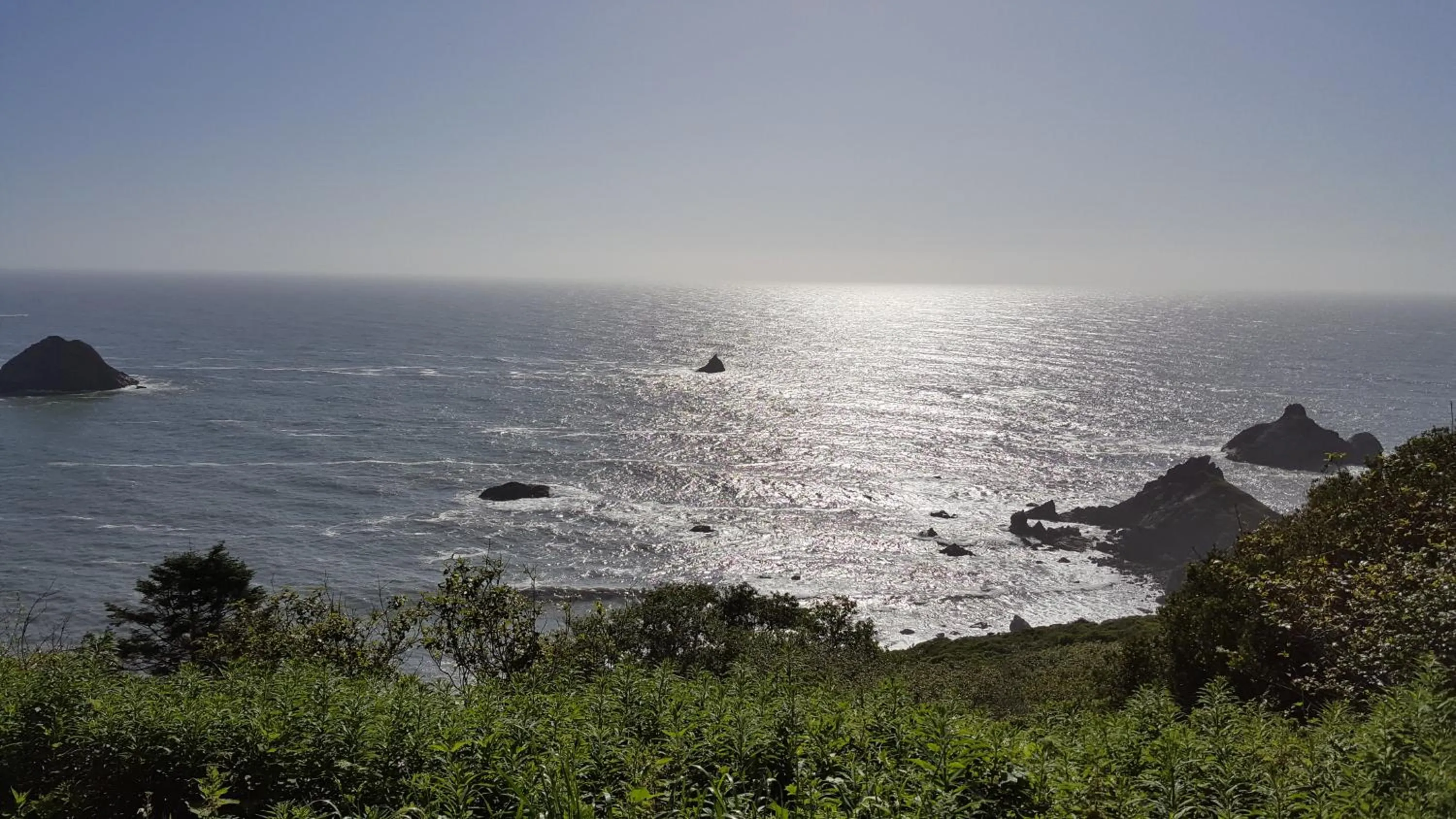 Natural landscape in Emerald Forest Cabins