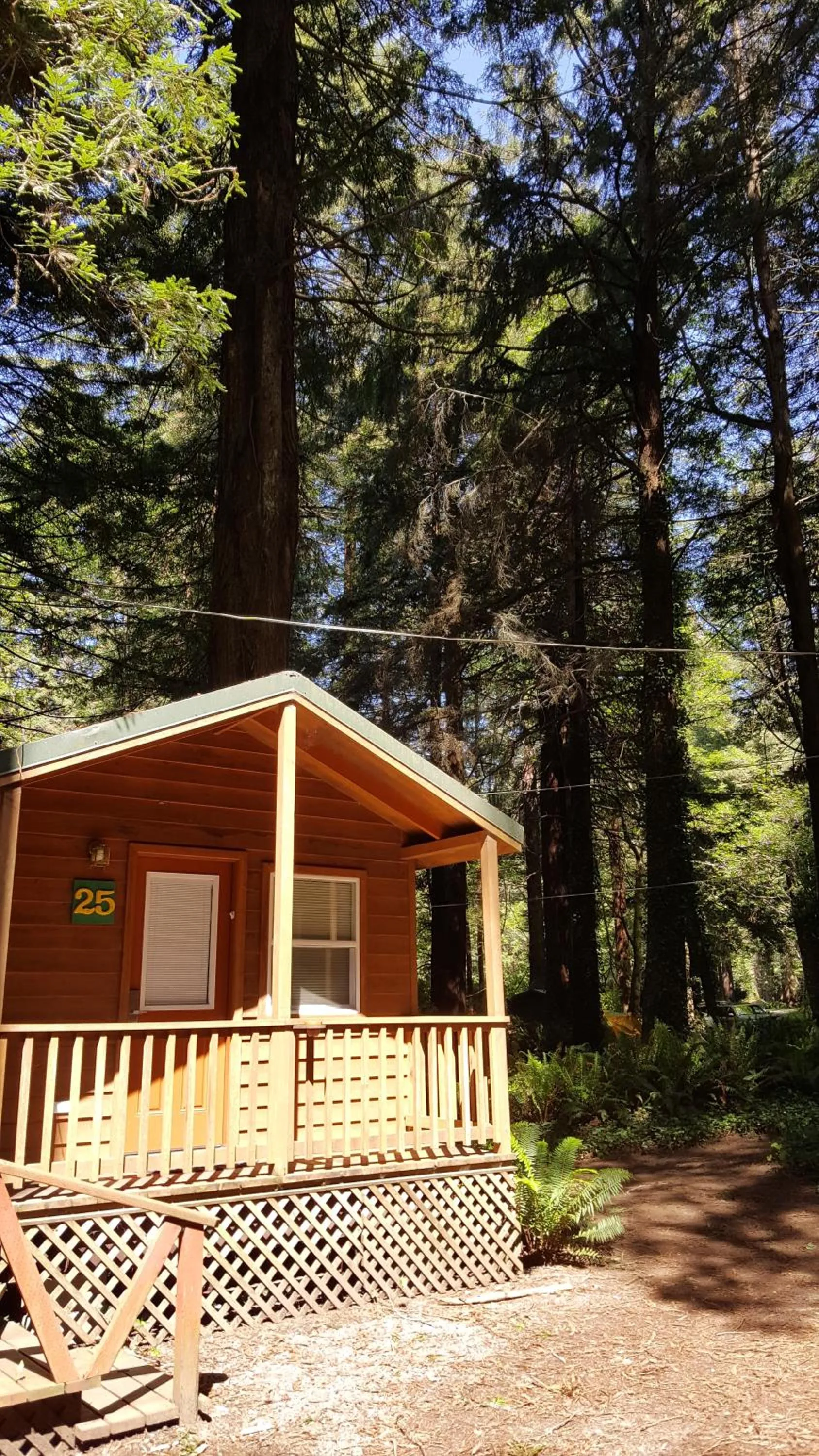 Property building in Emerald Forest Cabins