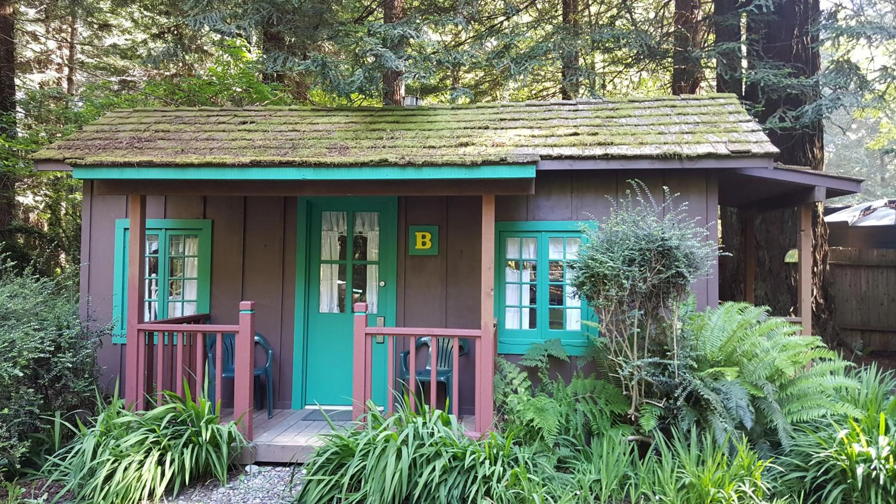 Property building in Emerald Forest Cabins