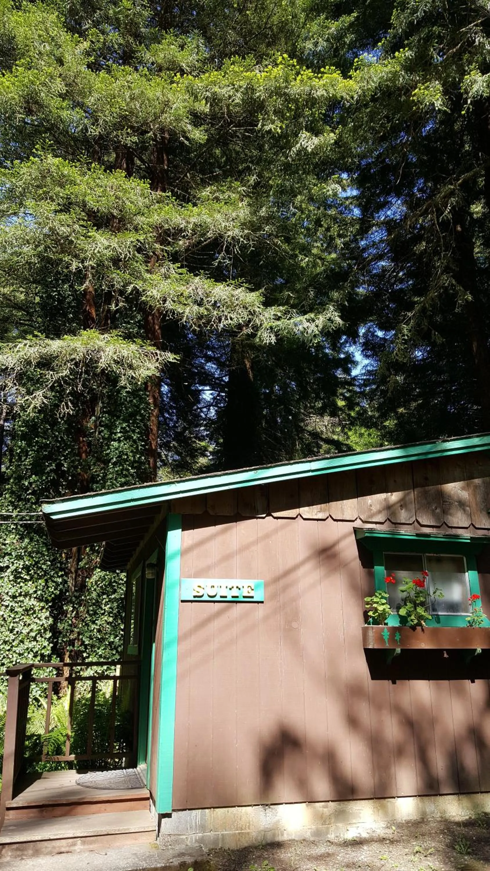 Property building in Emerald Forest Cabins