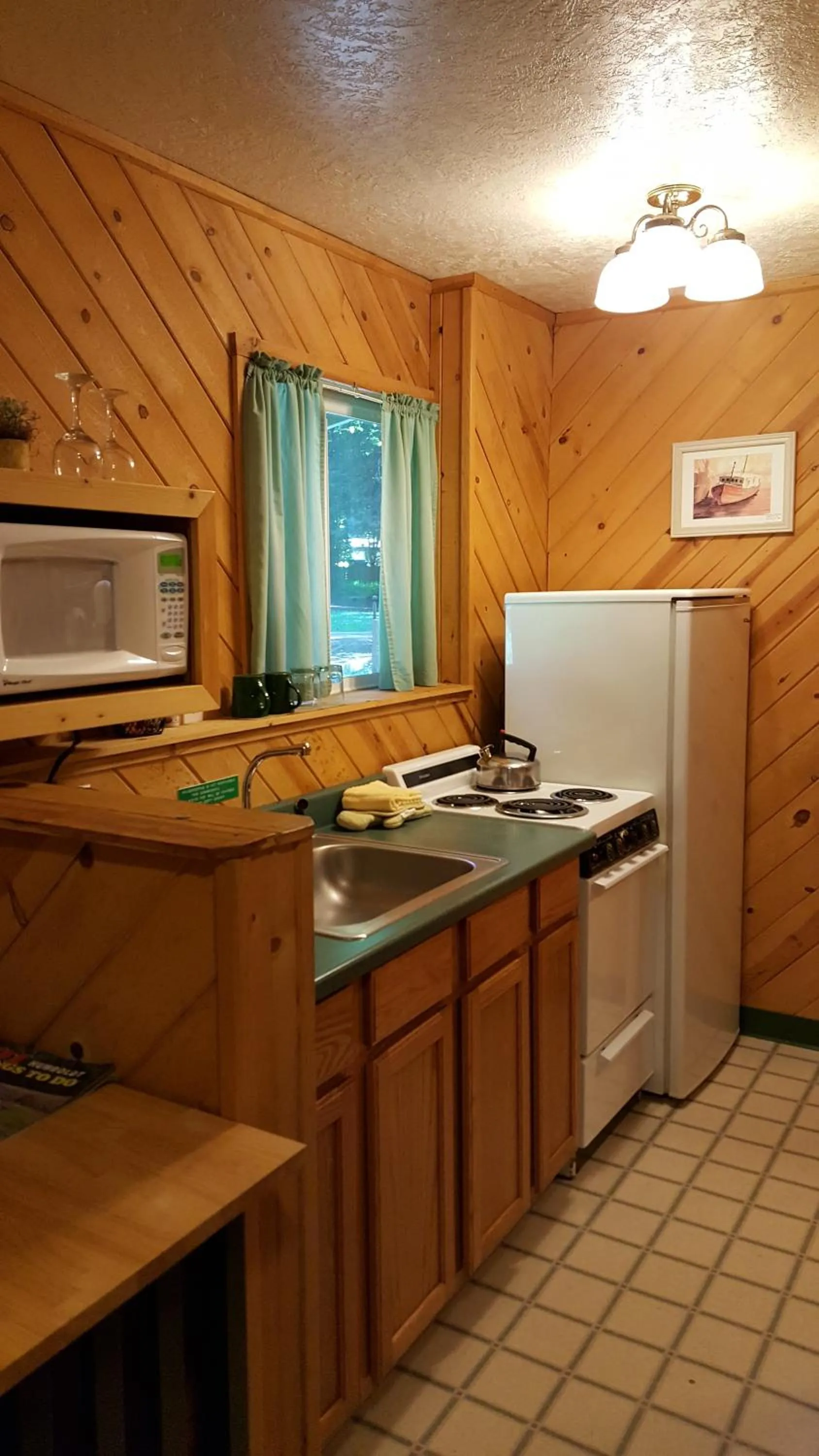 Kitchen or kitchenette in Emerald Forest Cabins