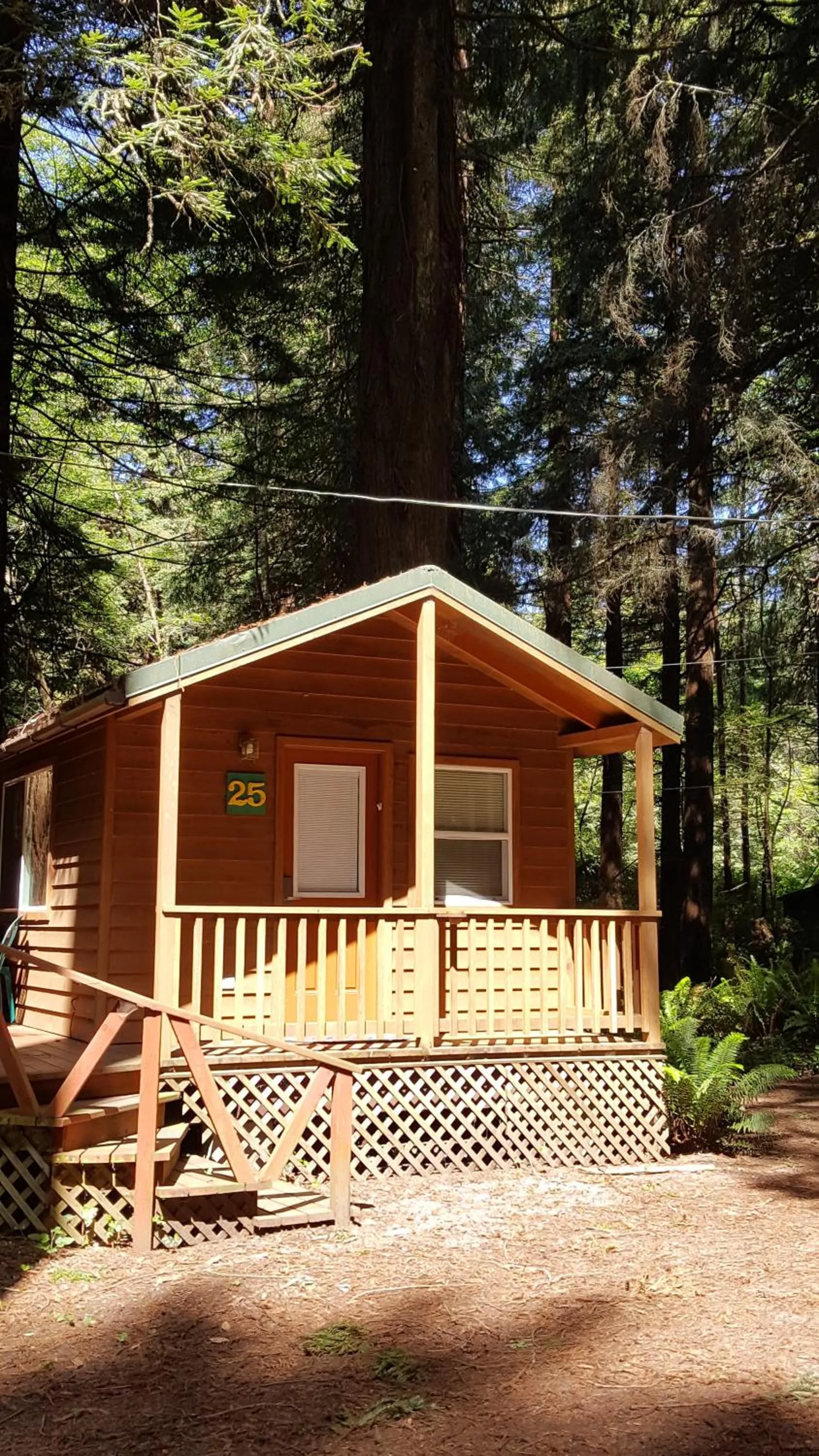 Property building in Emerald Forest Cabins
