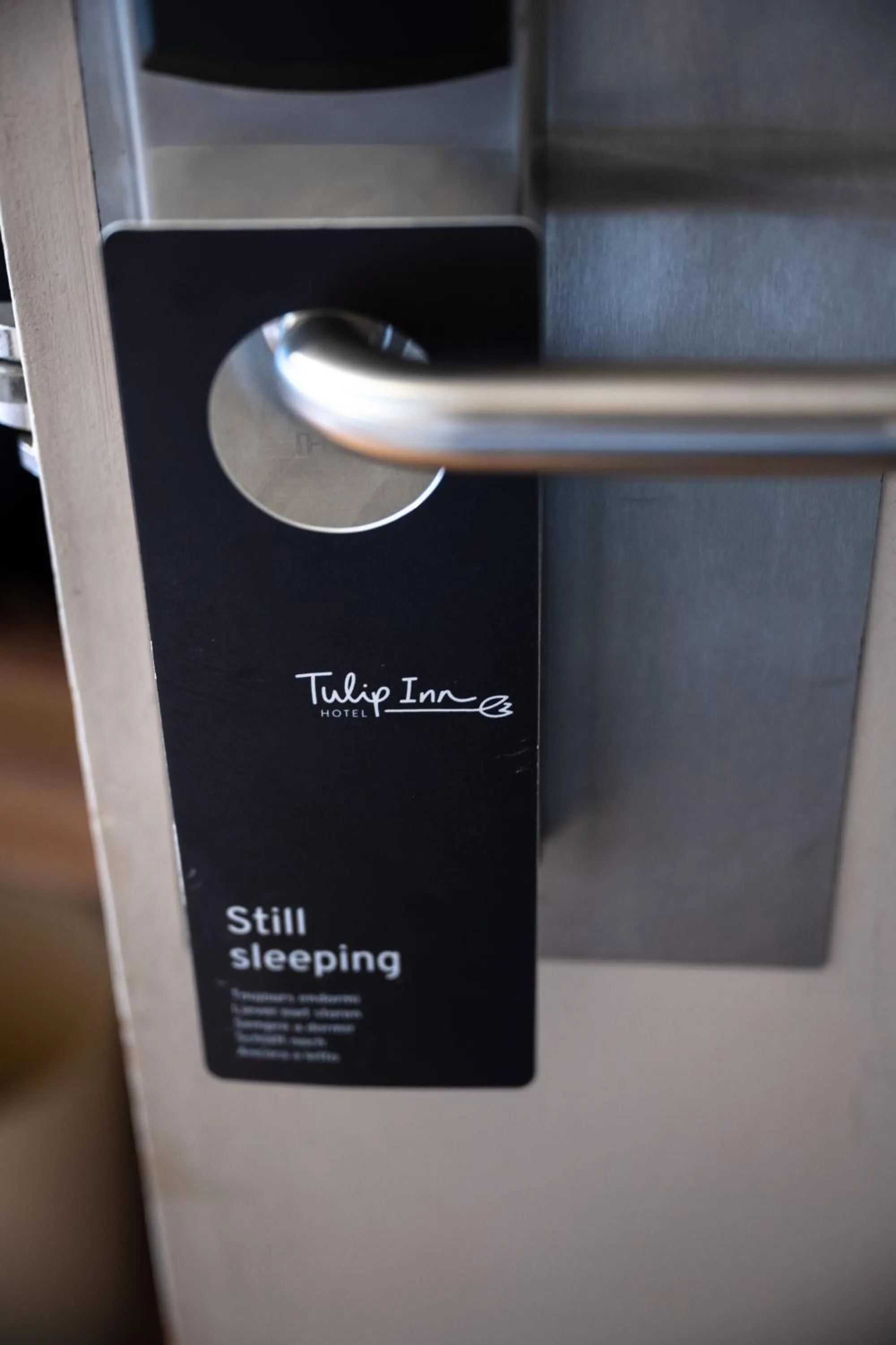 Decorative detail in Tulip Inn Beaune