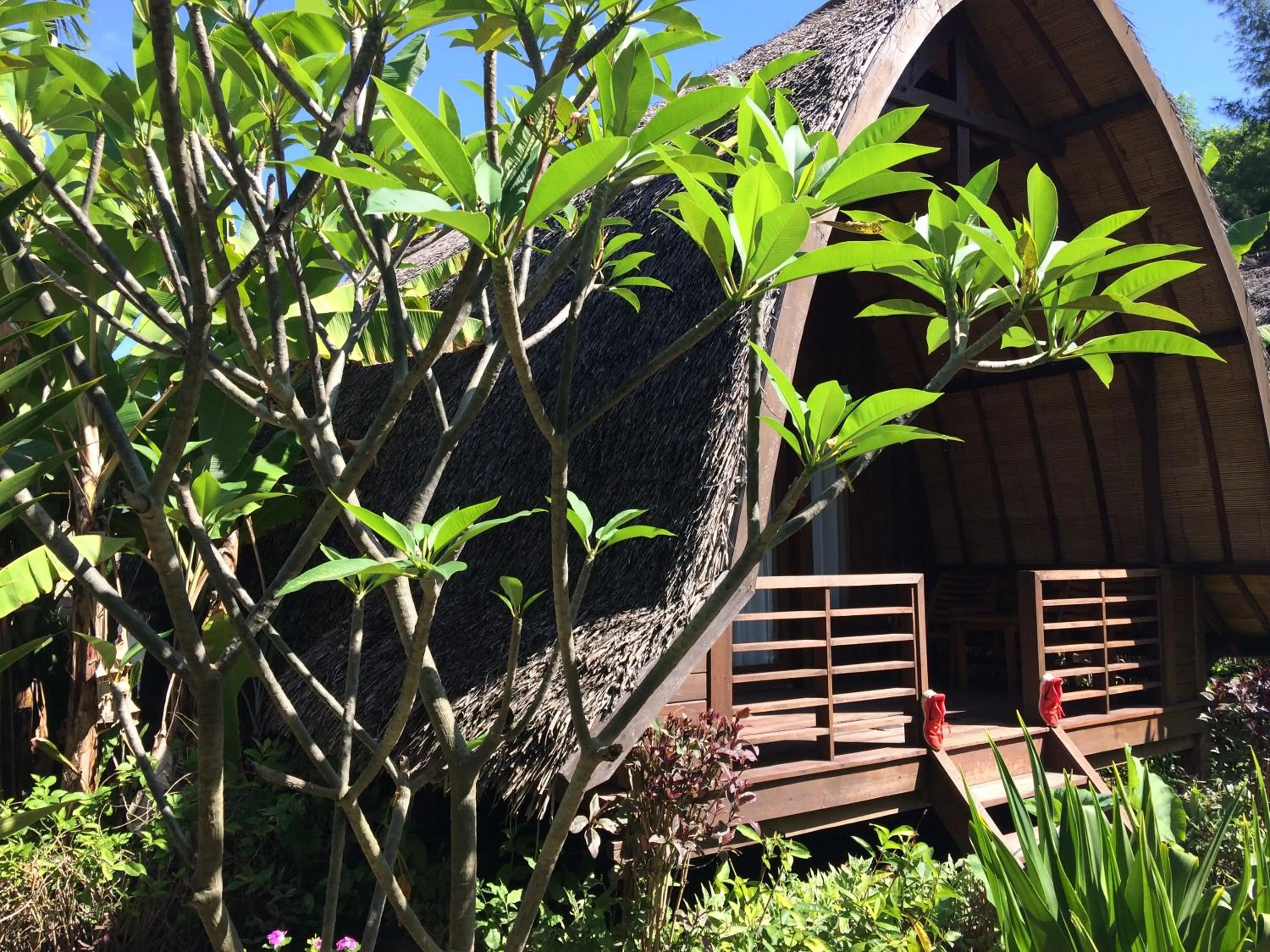 Balcony/Terrace in Melati Cottage