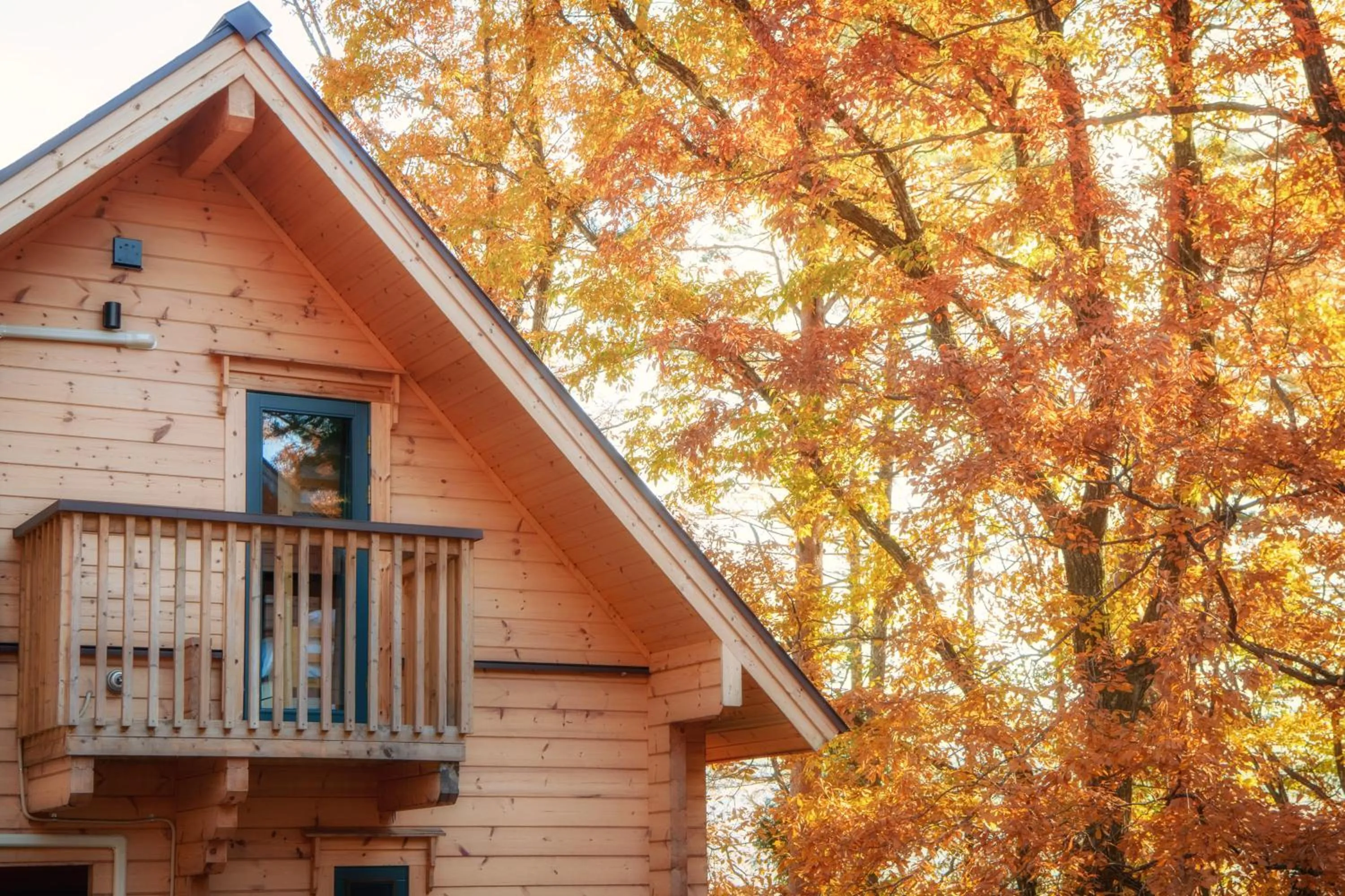 Property building in Wadano Woods by HHG