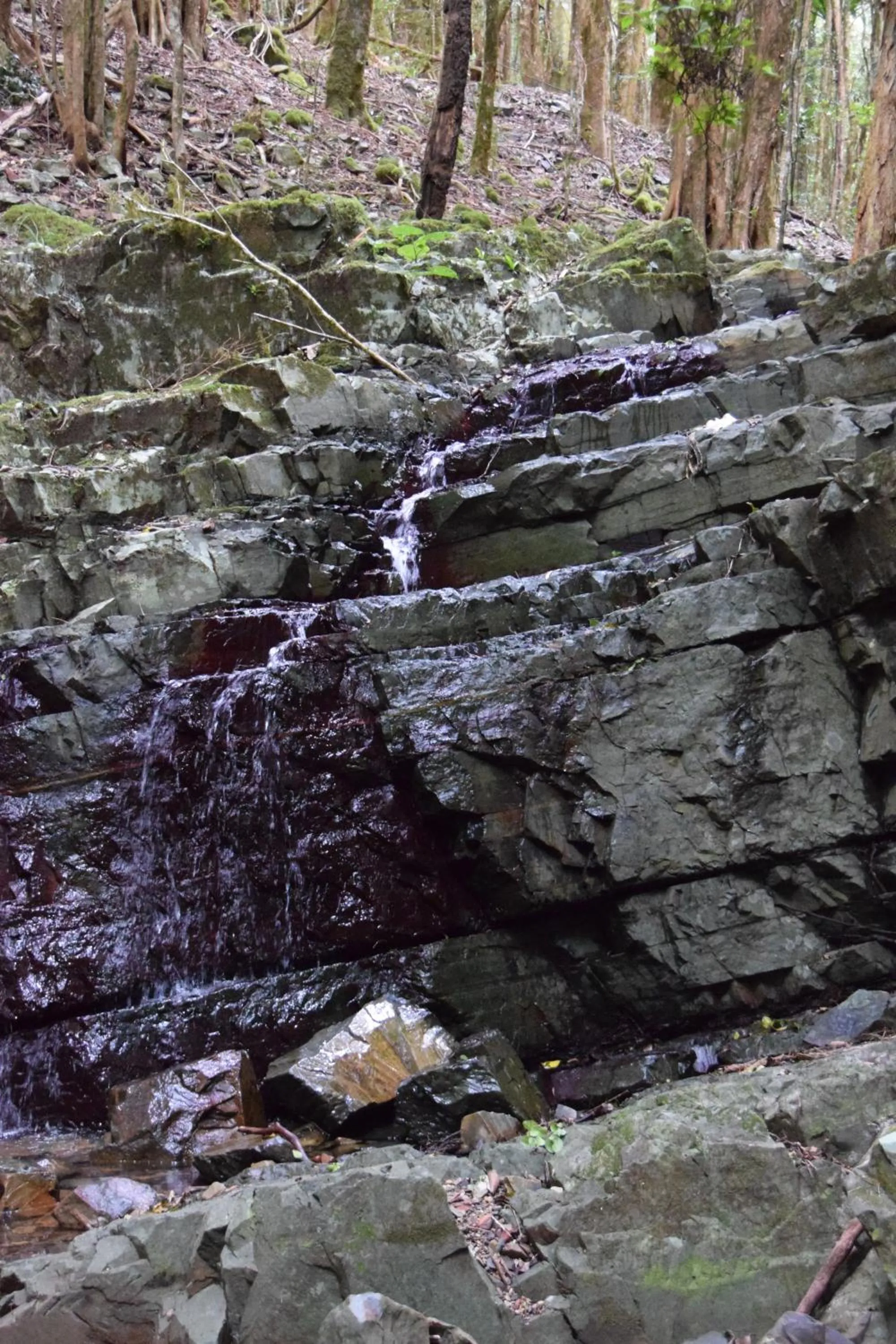 Nearby landmark in Copeland House