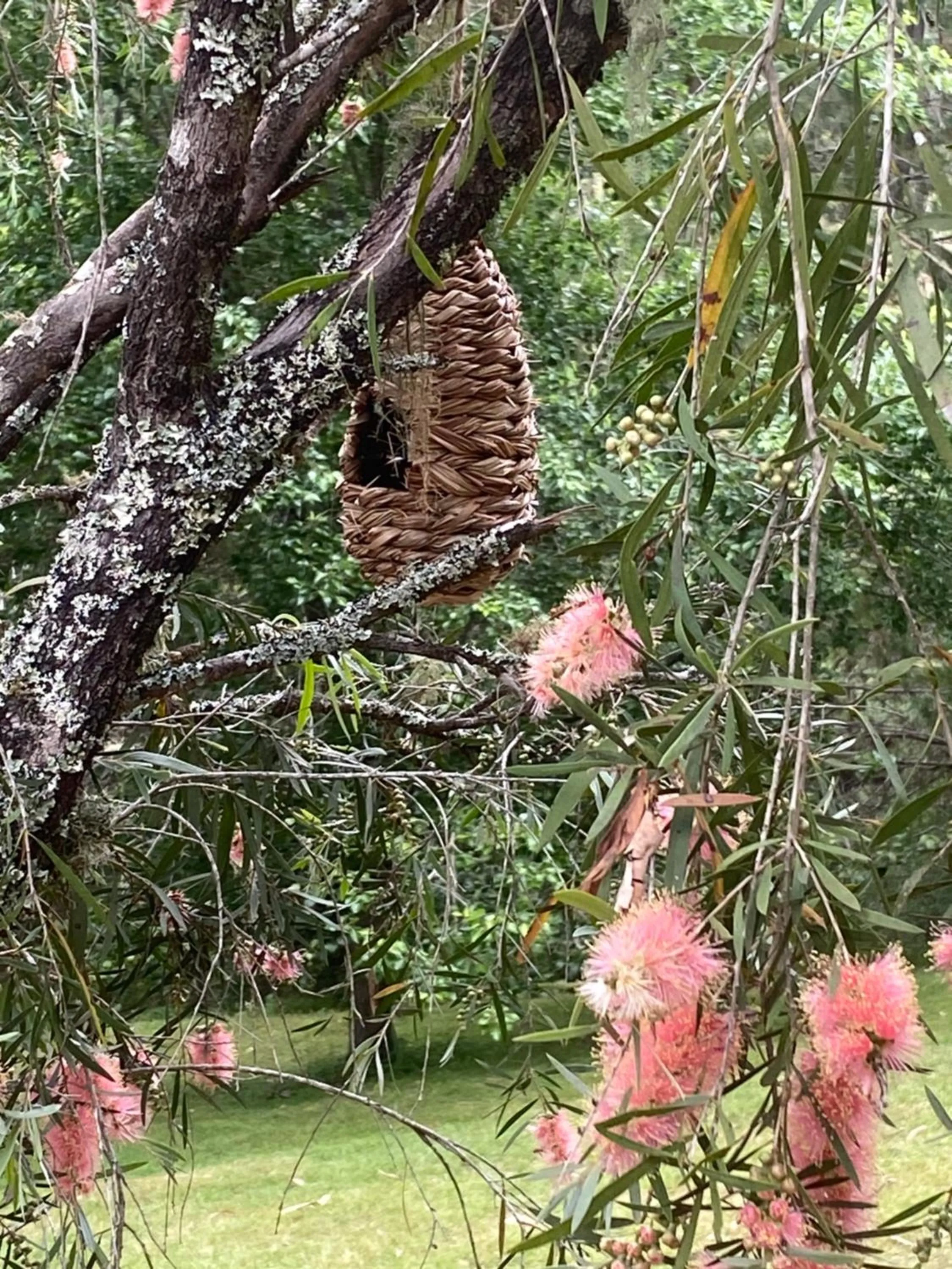 Garden in Copeland House