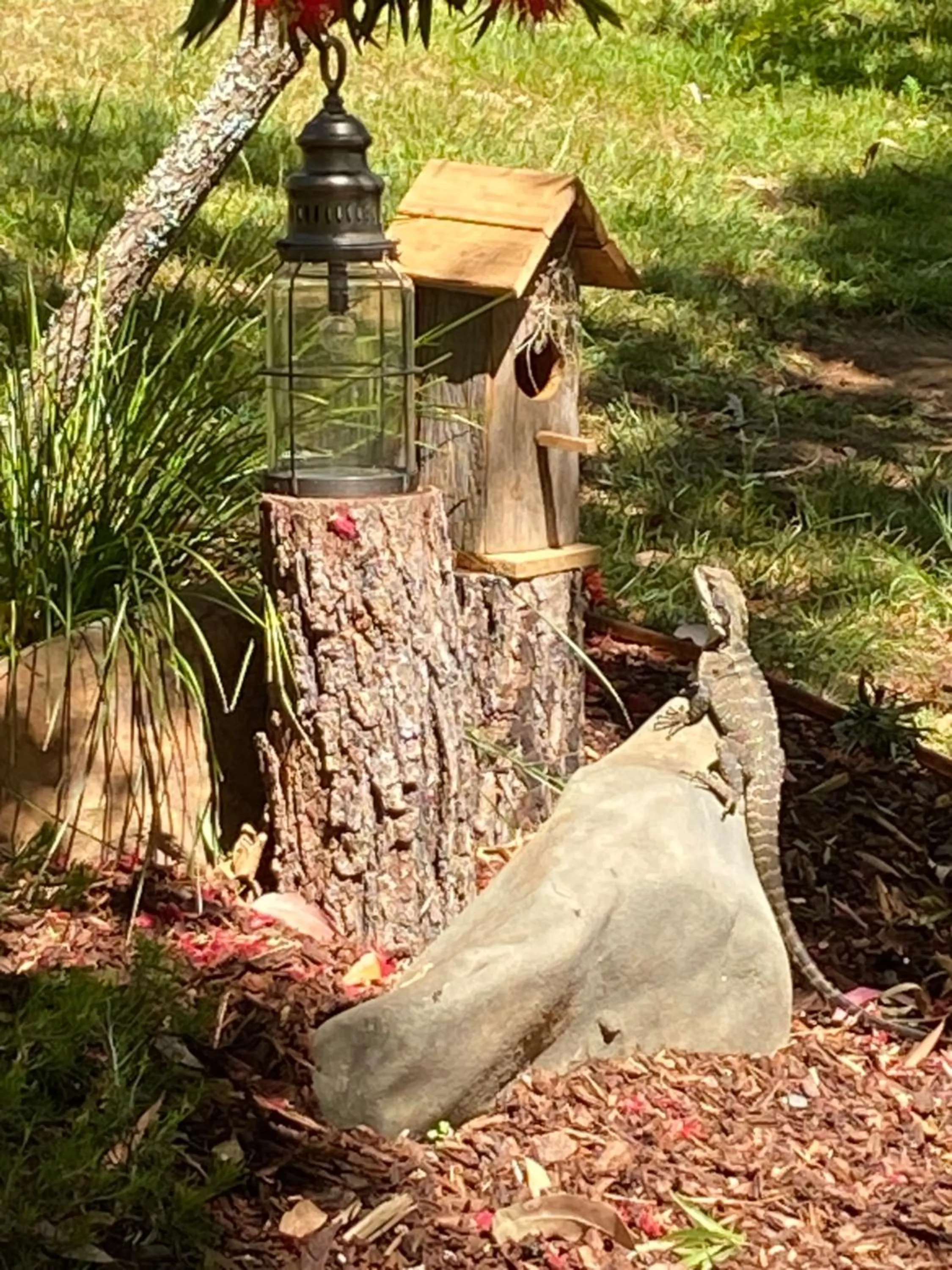 Garden in Copeland House