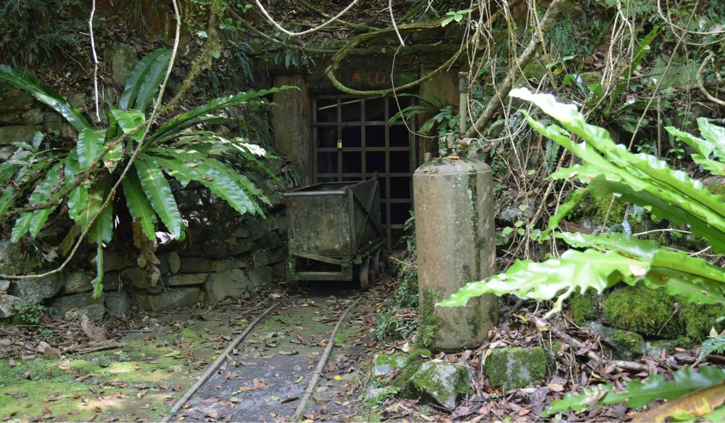Hiking in Copeland House