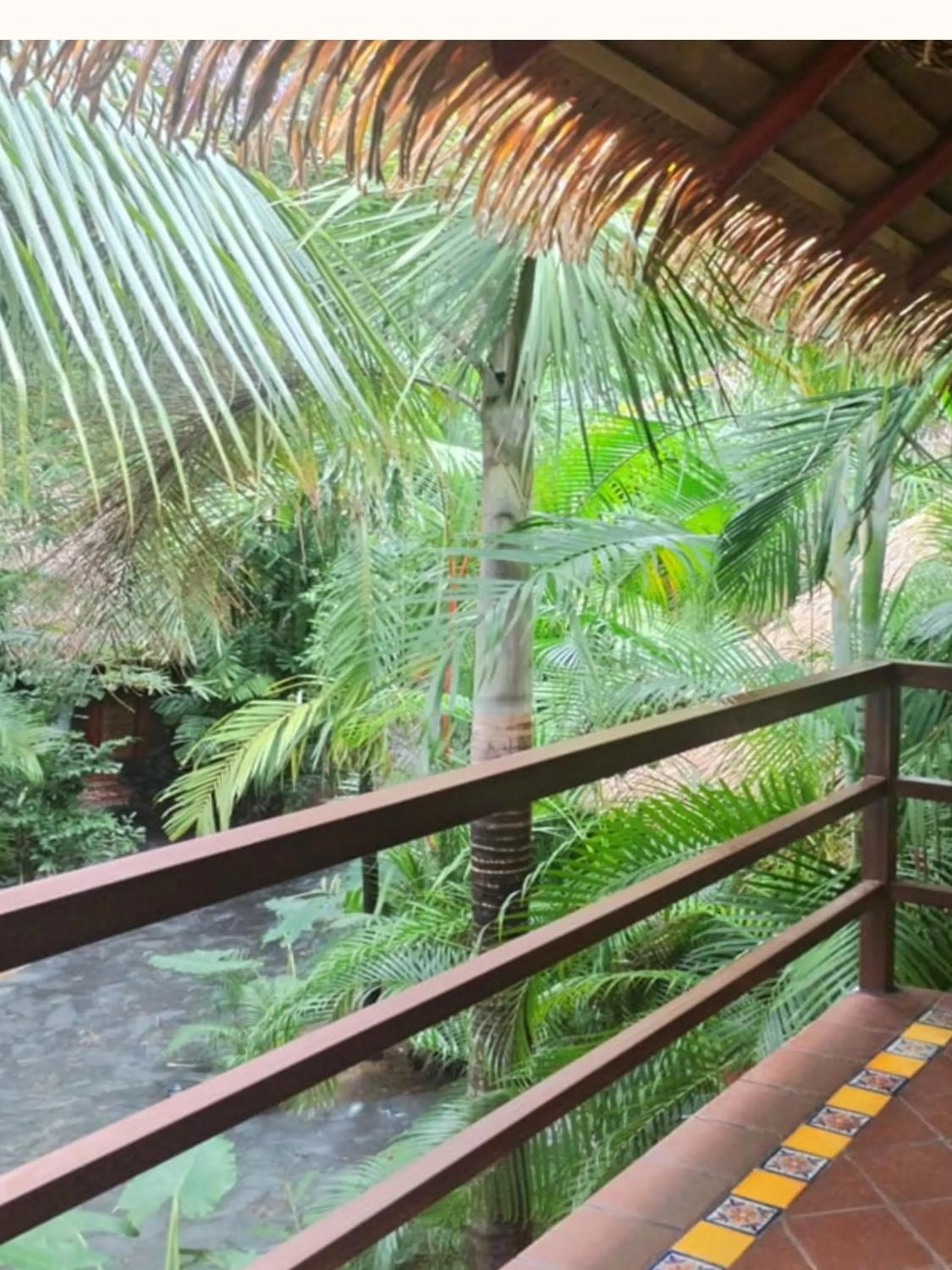 Natural landscape in Locanda Samara Beach