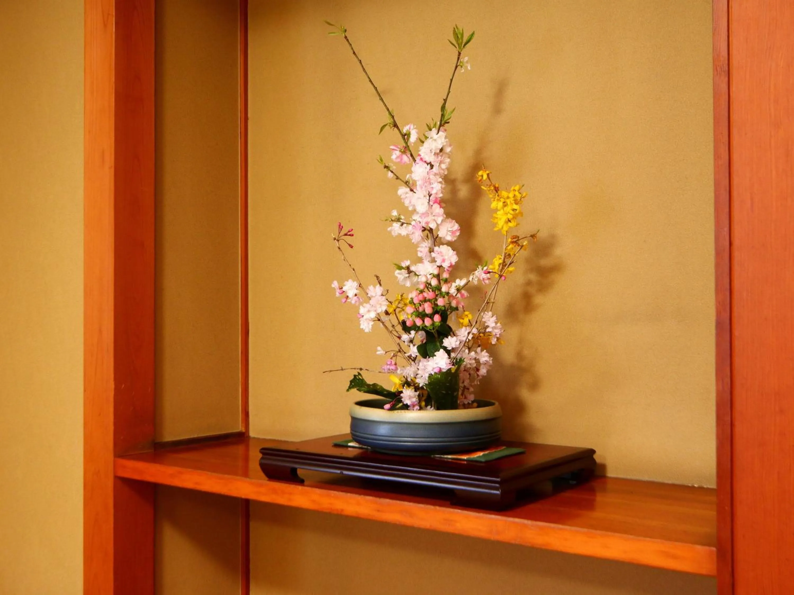 Photo of the whole room in Ena Totaro