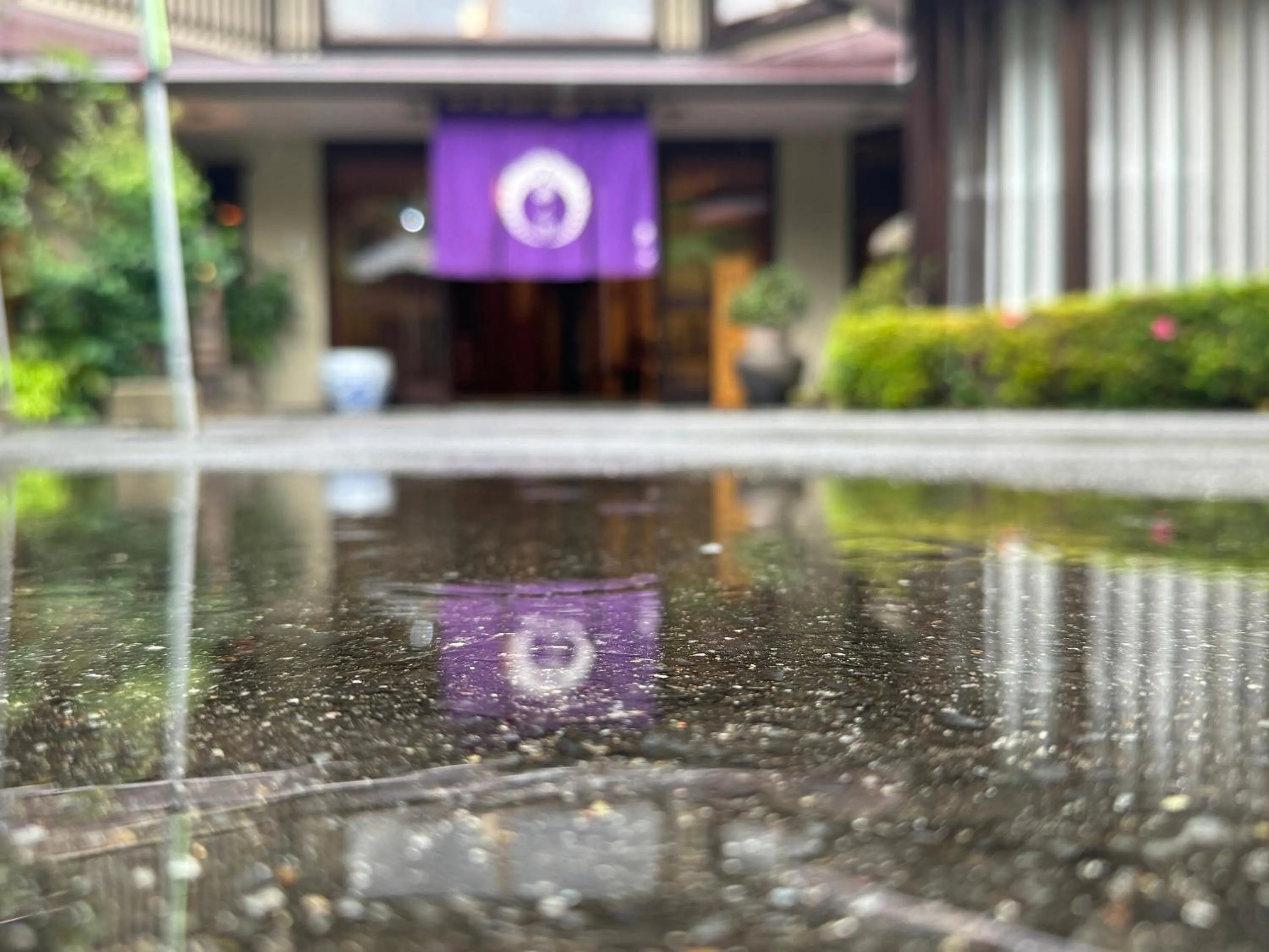 Property building in Ena Totaro