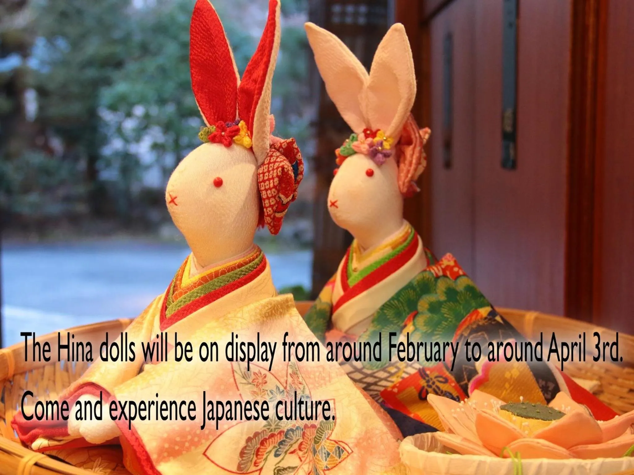 Lobby or reception in Ena Totaro