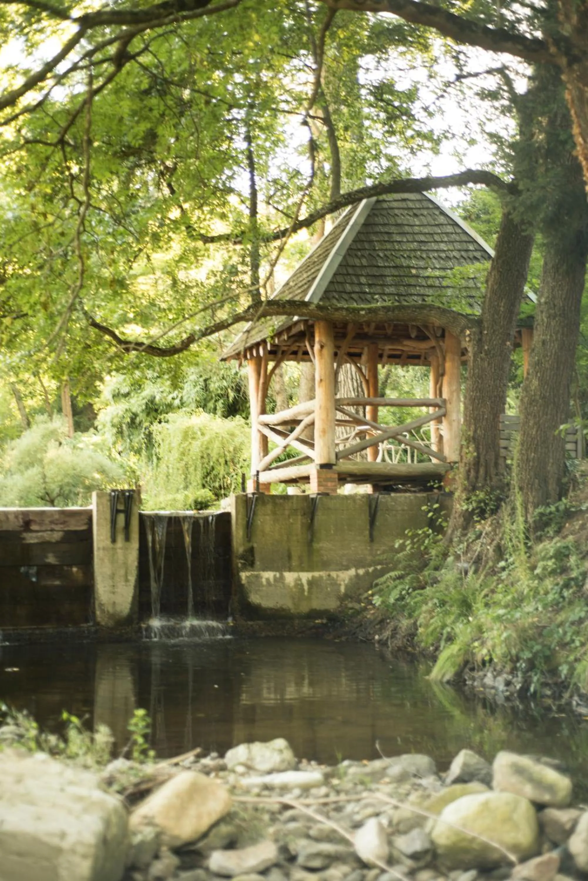 Garden in Domaine La Gentilhommière
