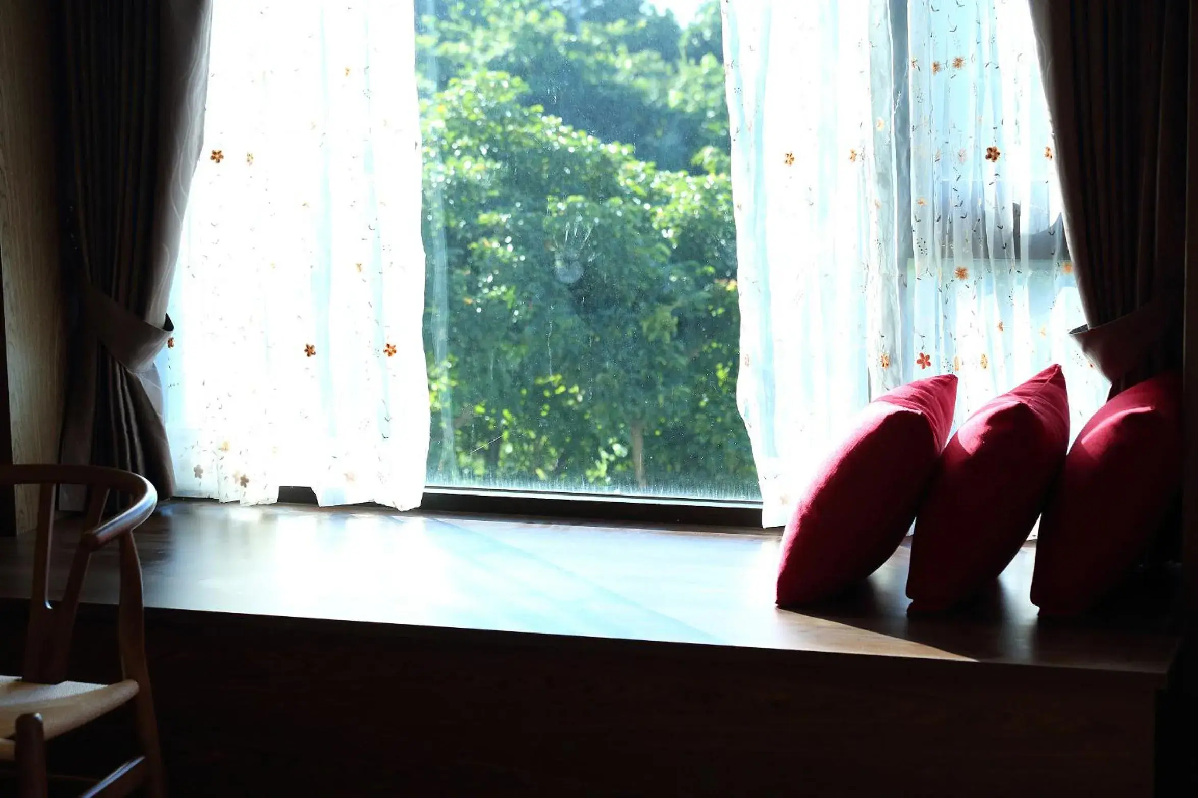 Garden view in 雲起軒民宿 Cloudscape B&B Garden view in 雲起軒民宿 Cloudscape B&B